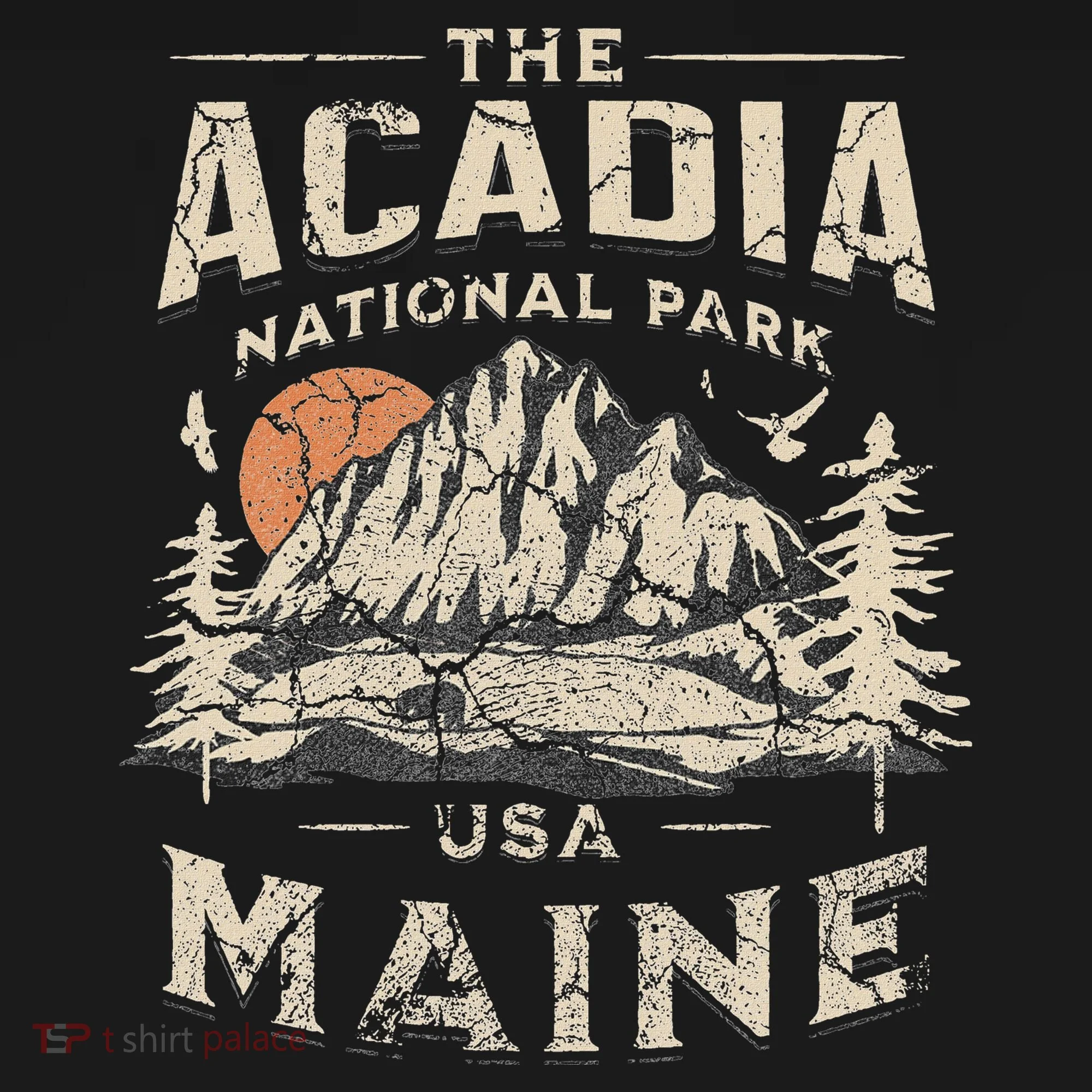 Acadia National Park Women's T-Shirt