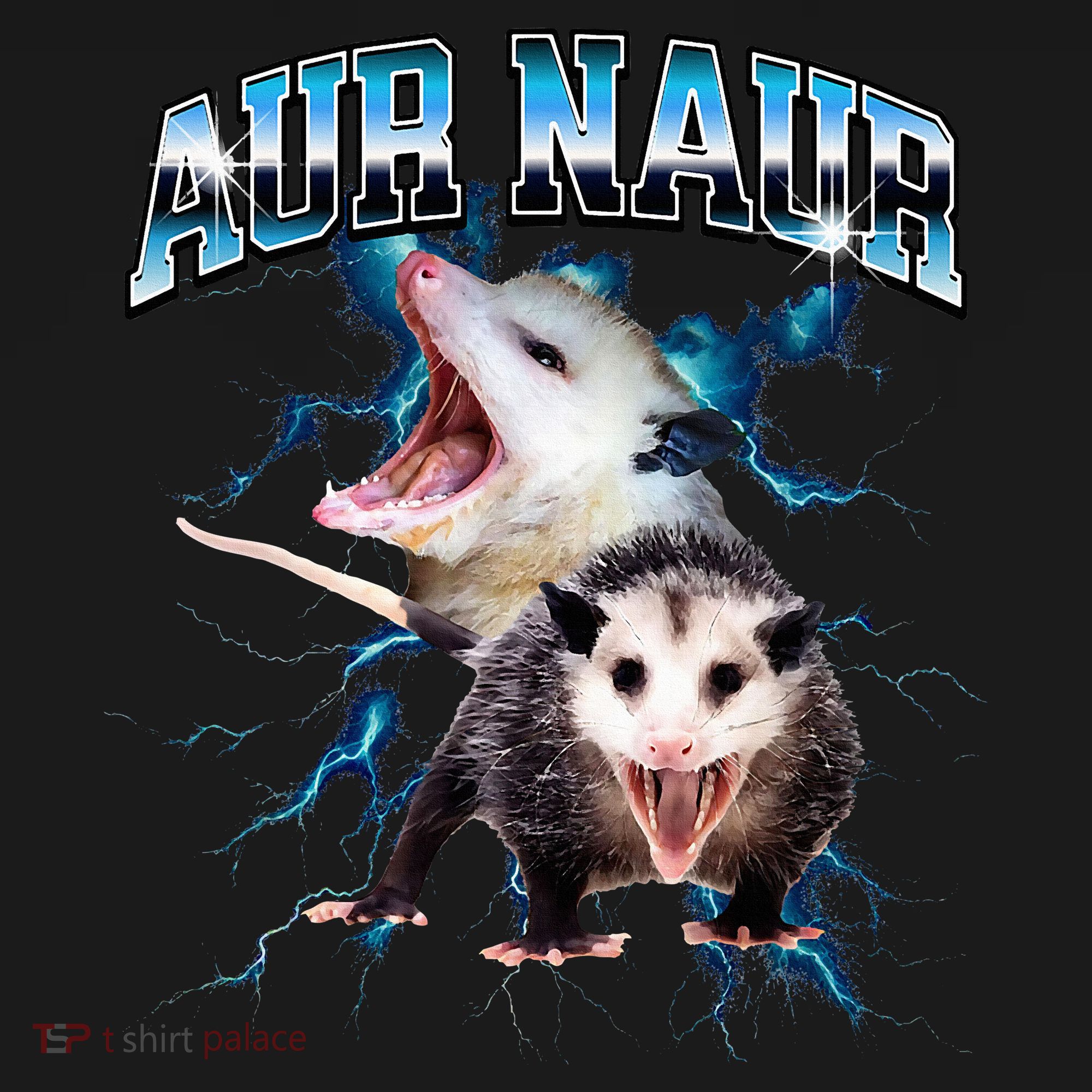 Aur Naur Possum Cute Funny Sarcastic Meme Apron