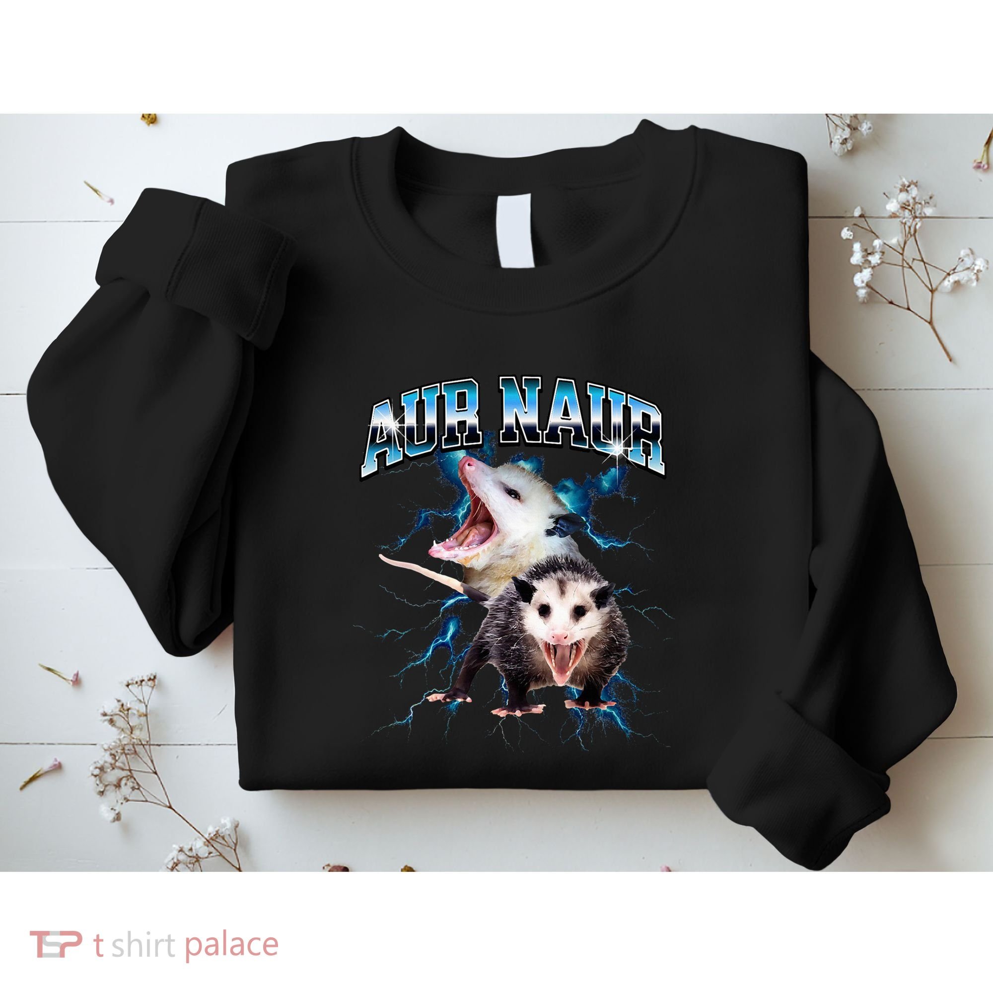 Aur Naur Possum Cute Funny Sarcastic Meme Sweatshirt