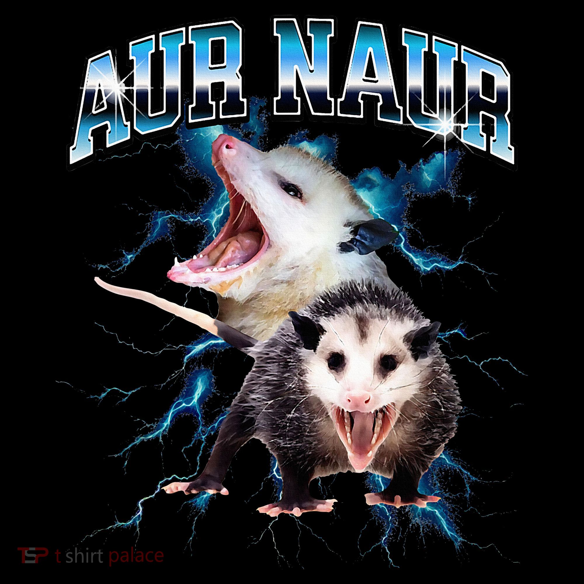 Aur Naur Possum Cute Funny Sarcastic Meme Women's Hoodie