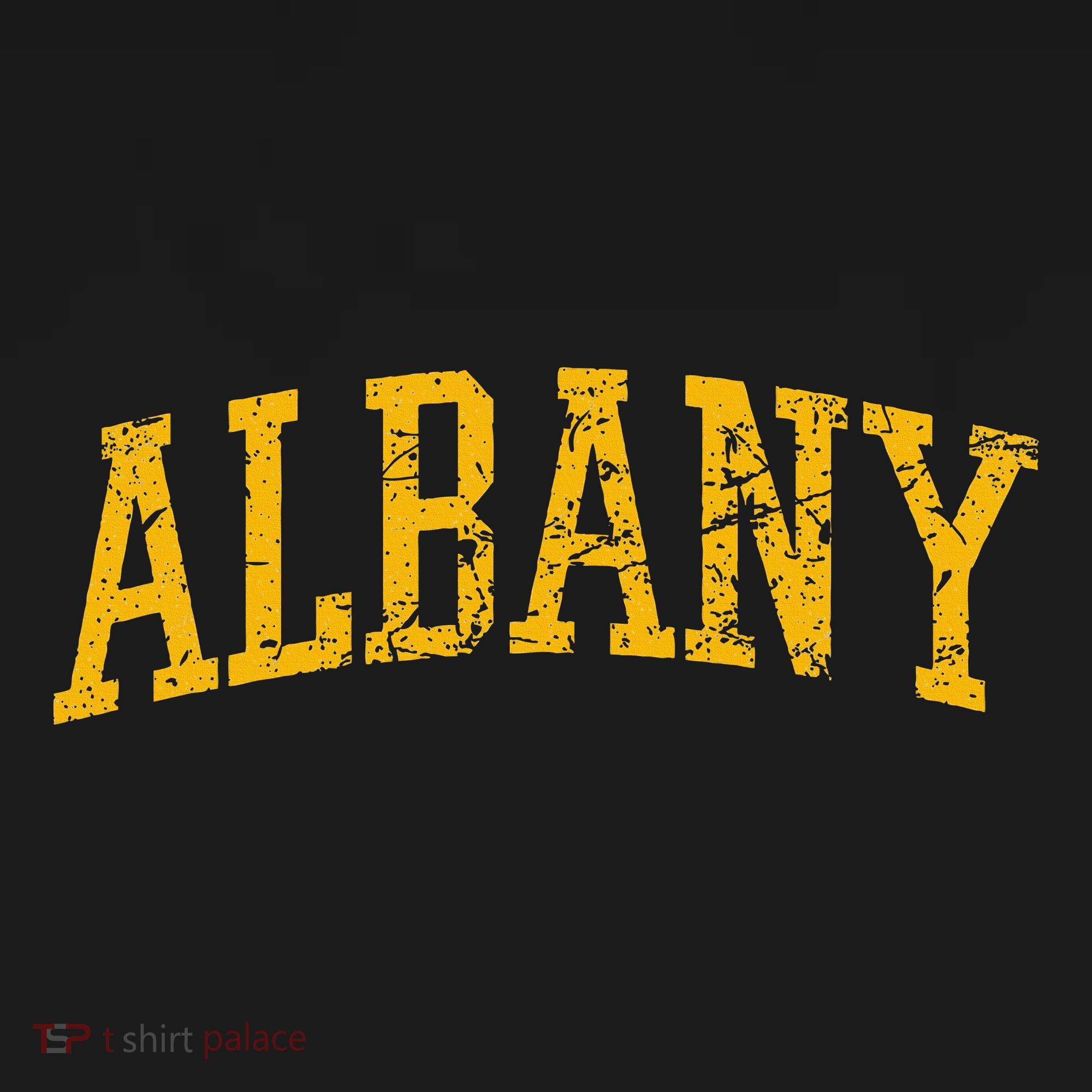Albany Ny Throwback USA-Made Doggie Bandana