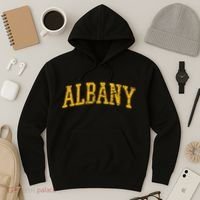 Albany Ny Throwback Hoodie thumb 3