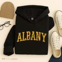 Albany Ny Throwback Hoodie thumb 4