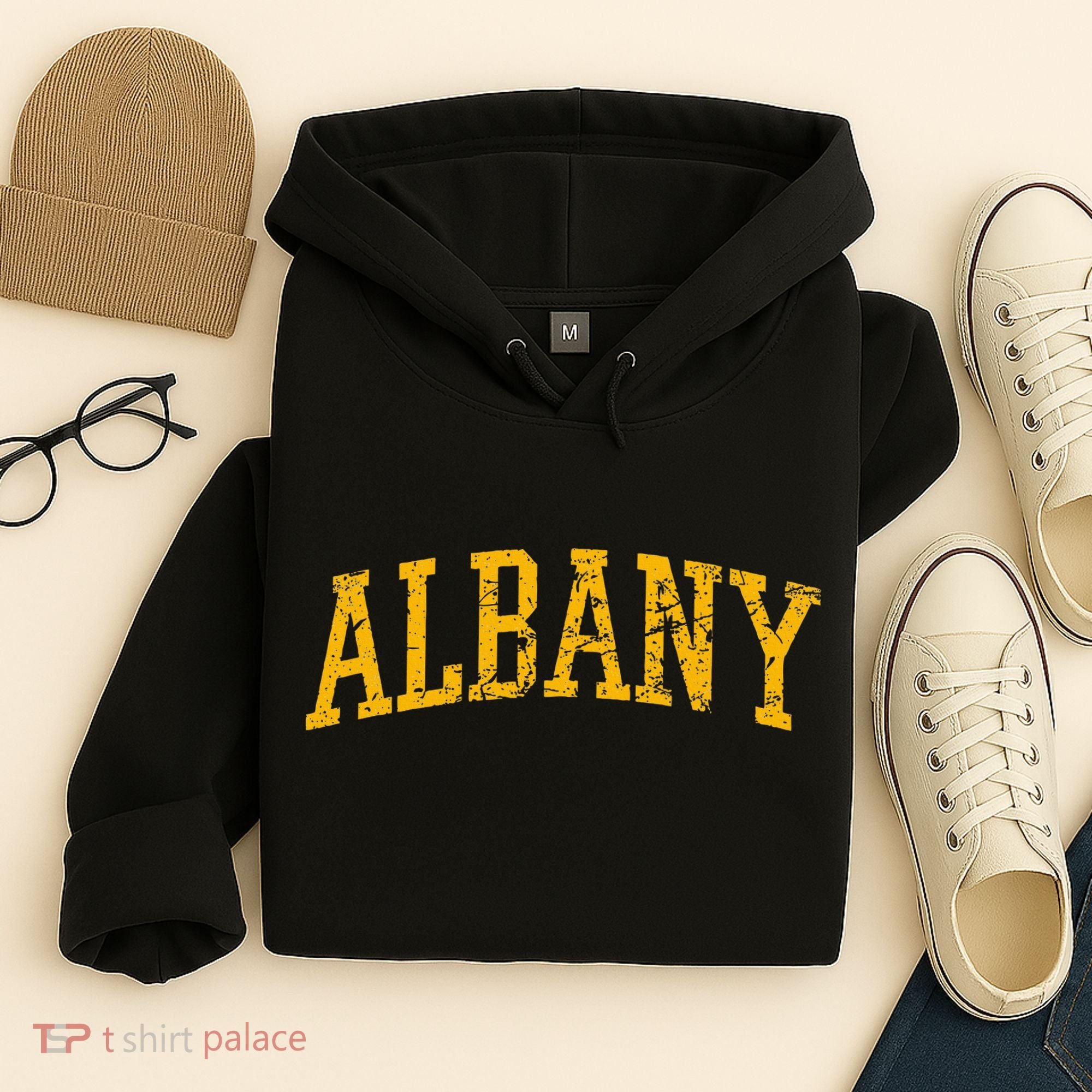 Albany Ny Throwback Hoodie