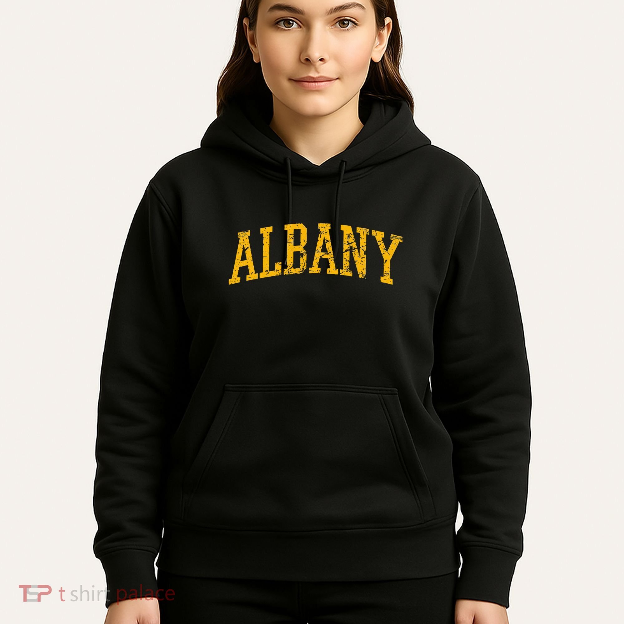 Albany Ny Throwback Hoodie