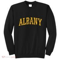 Albany Ny Throwback Sweatshirt thumb 0