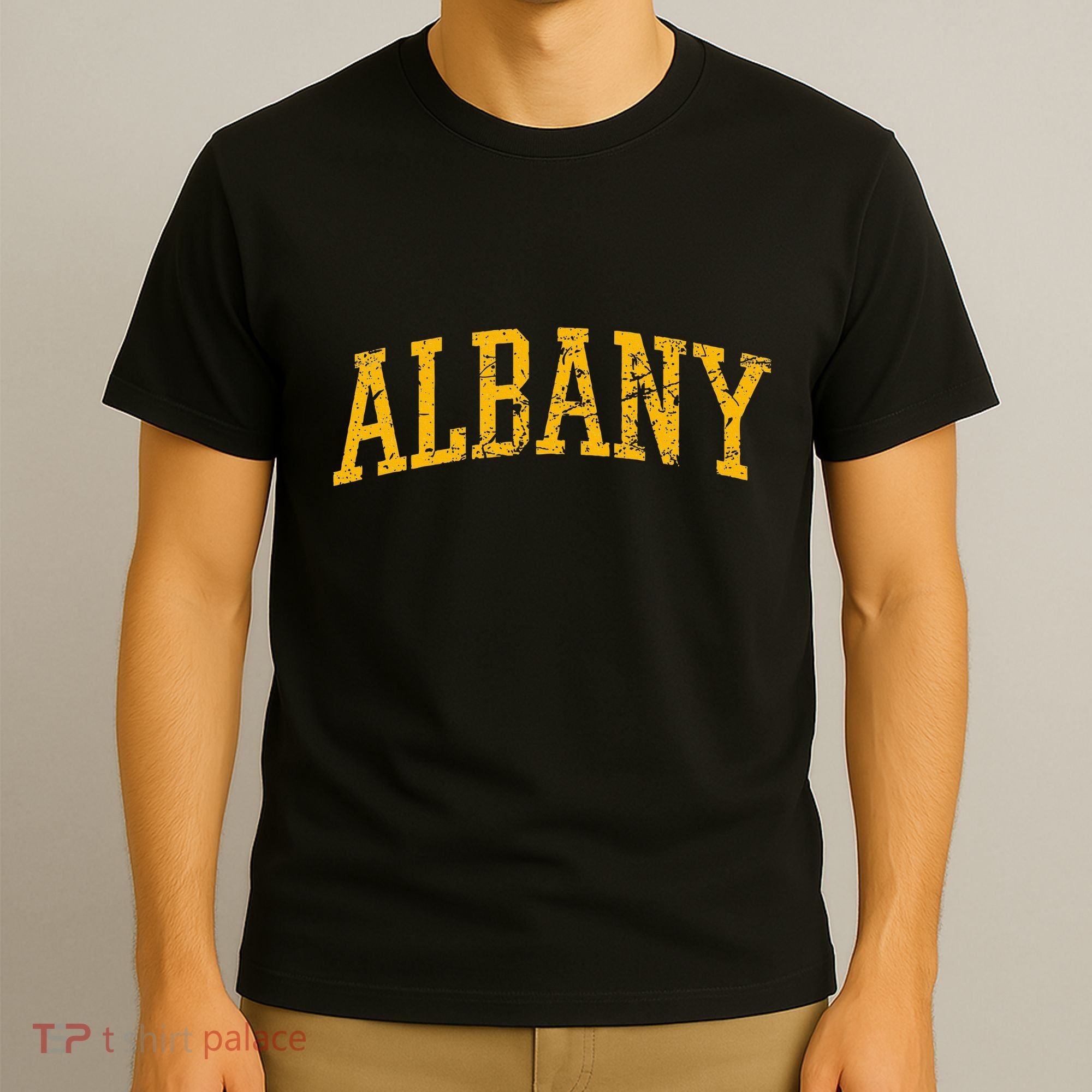 Albany Ny Throwback T-Shirt