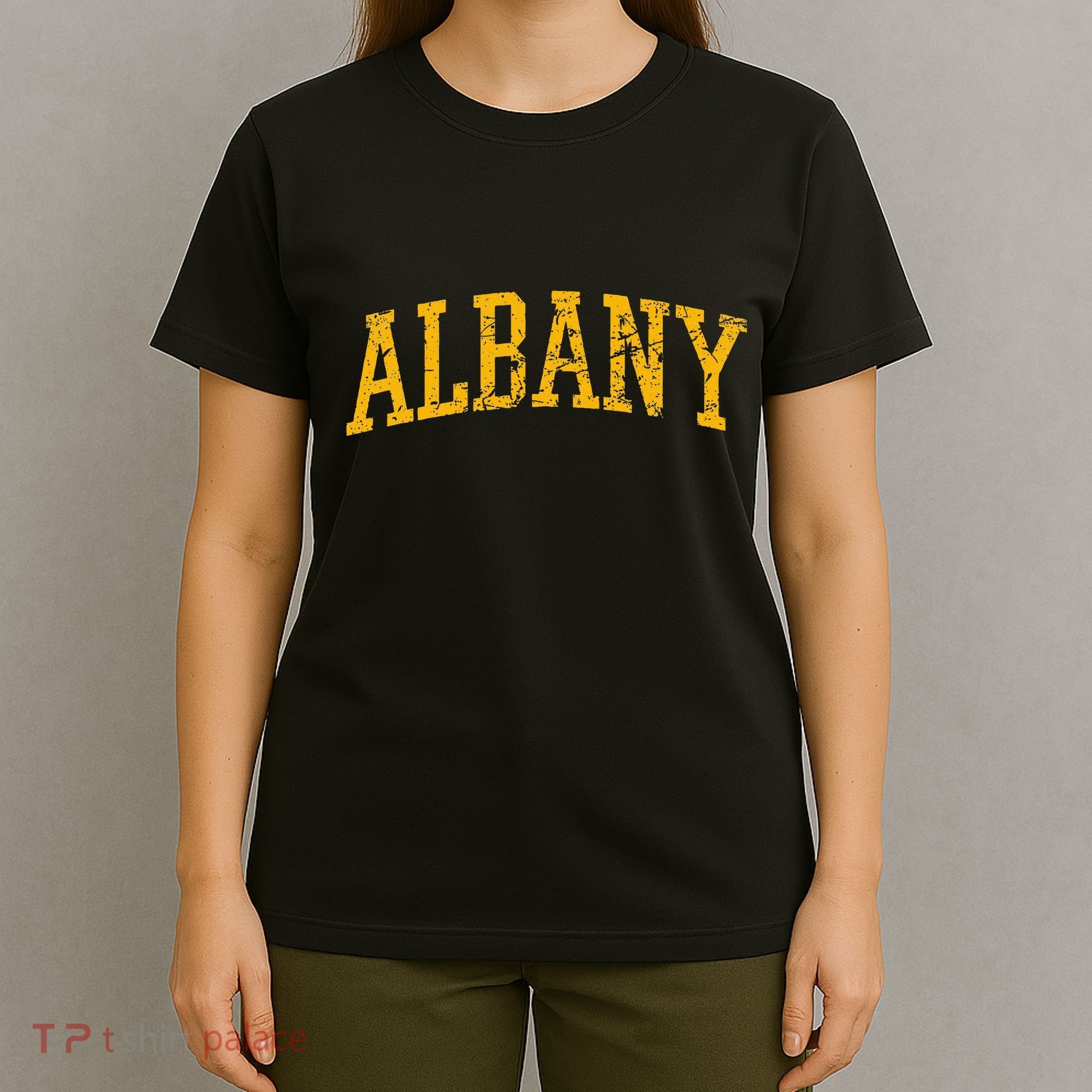 Albany Ny Throwback T-Shirt