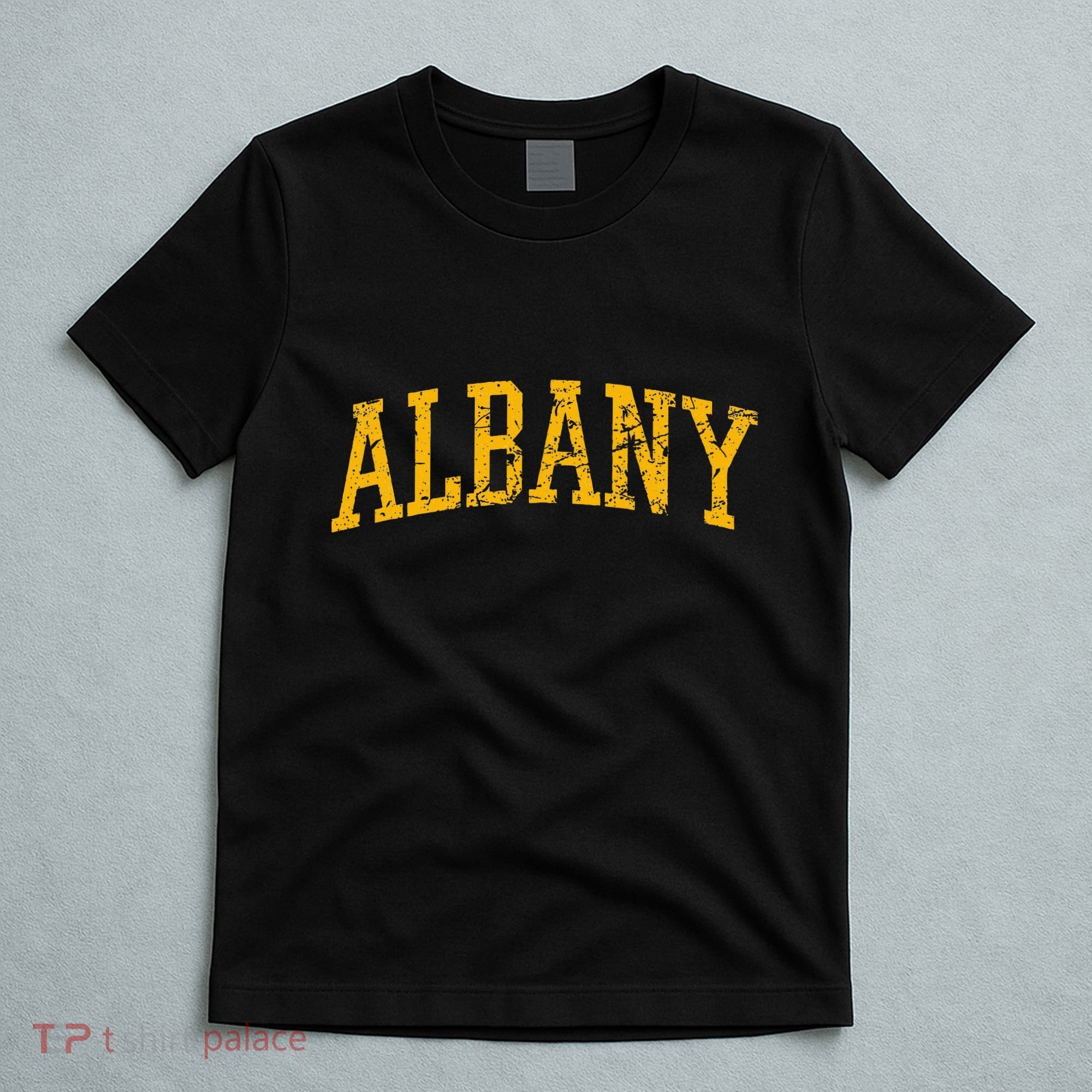 Albany Ny Throwback T-Shirt