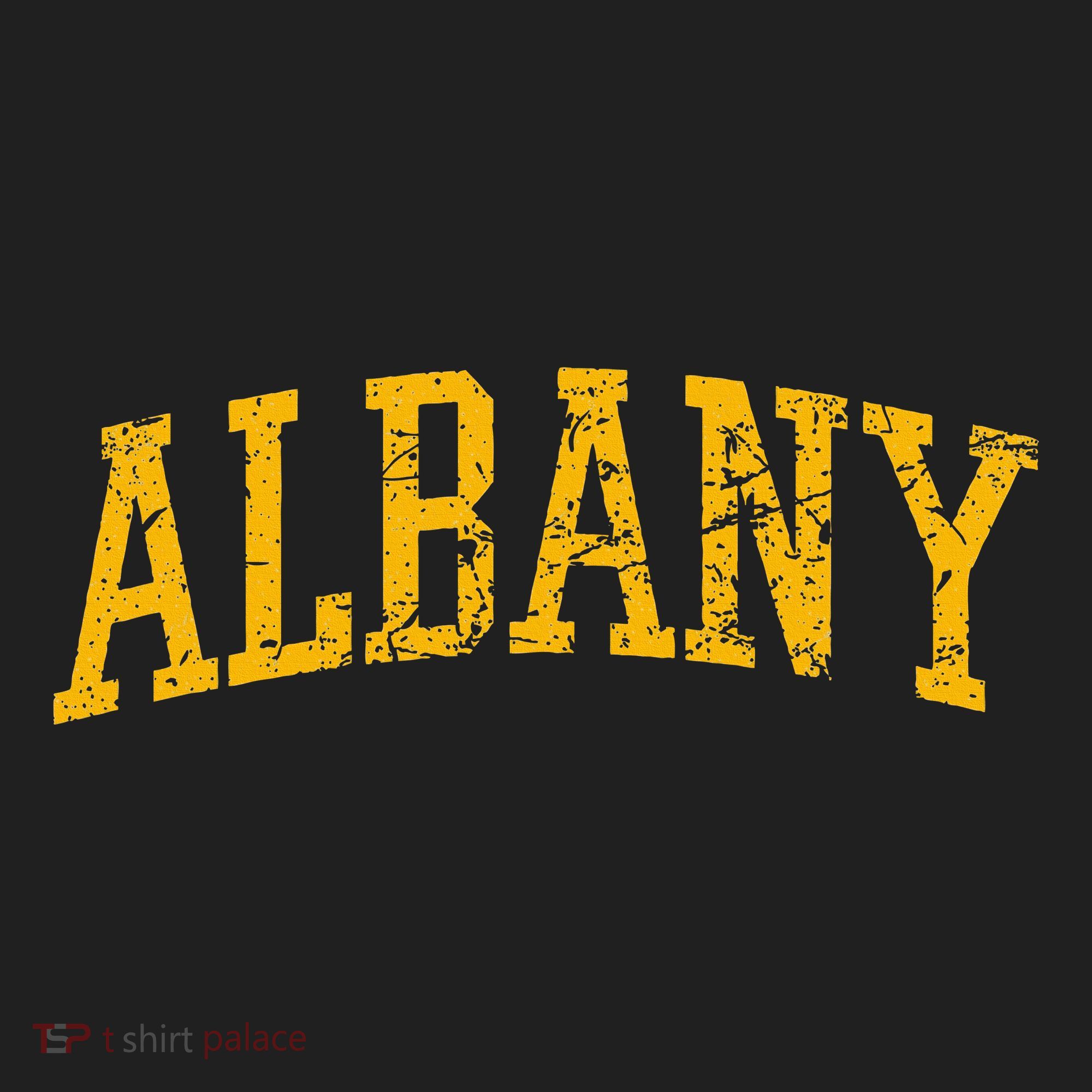Albany Ny Throwback Beanie