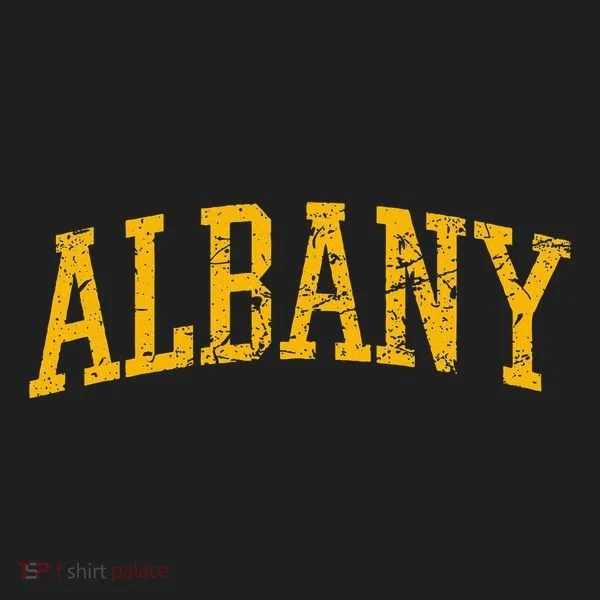 Albany Ny Throwback Tumbler