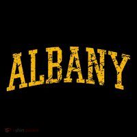 Albany Ny Throwback Women's Tank Top thumb 5