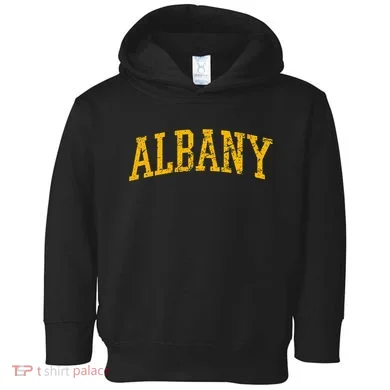 Albany Ny Throwback Toddler Hoodie