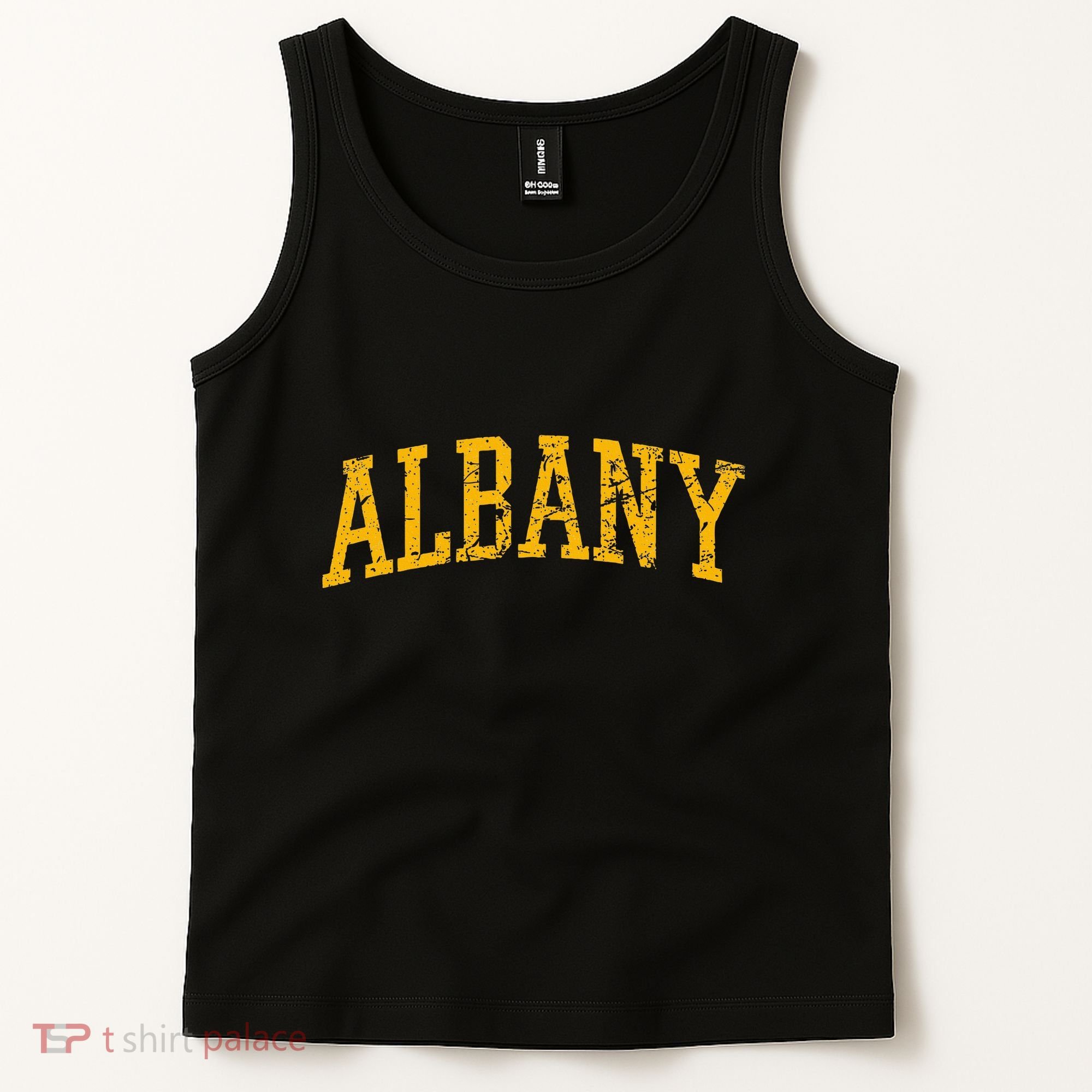 Albany Ny Throwback Tank Top