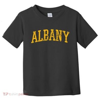 Albany Ny Throwback Toddler T-Shirt