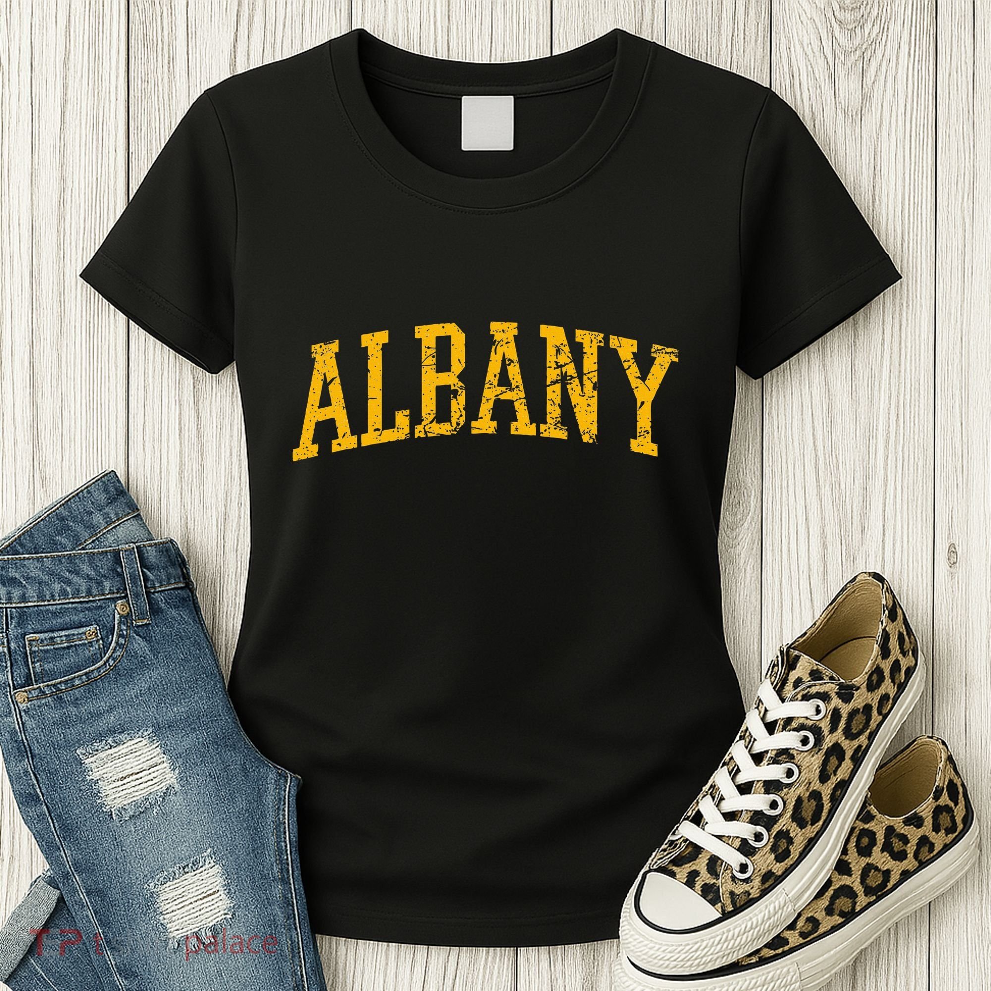Albany Ny Throwback Women's T-Shirt