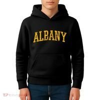 Albany Ny Throwback Kids Hoodie thumb 4