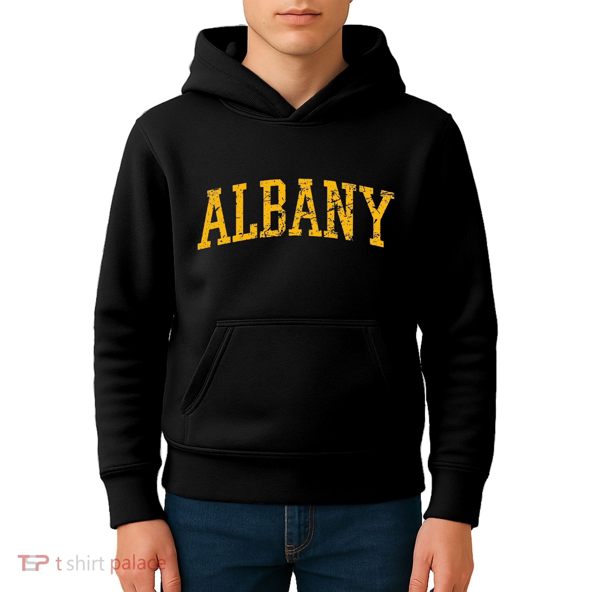 Albany Ny Throwback Kids Hoodie
