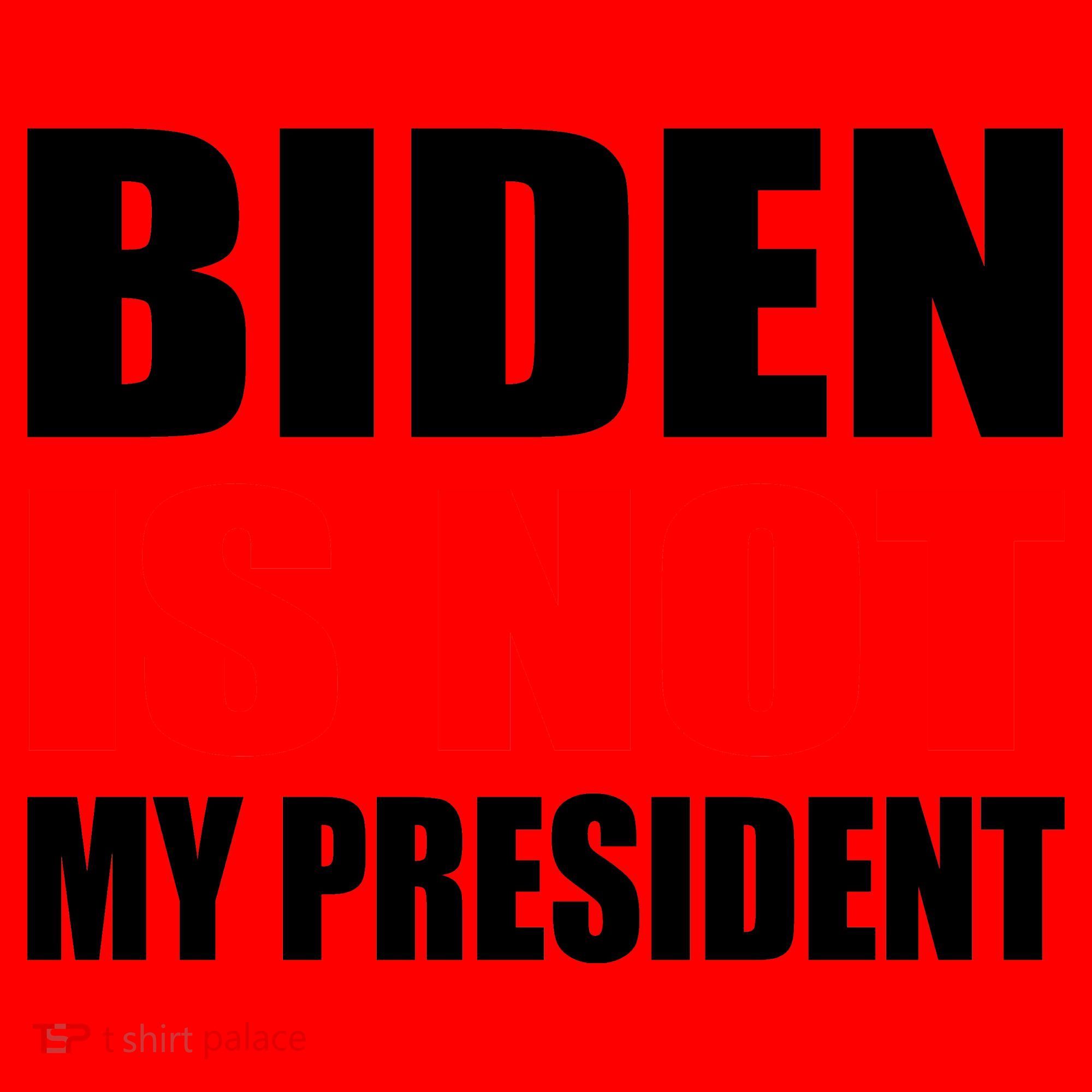 Anti Biden Is Not My President Santa Hat