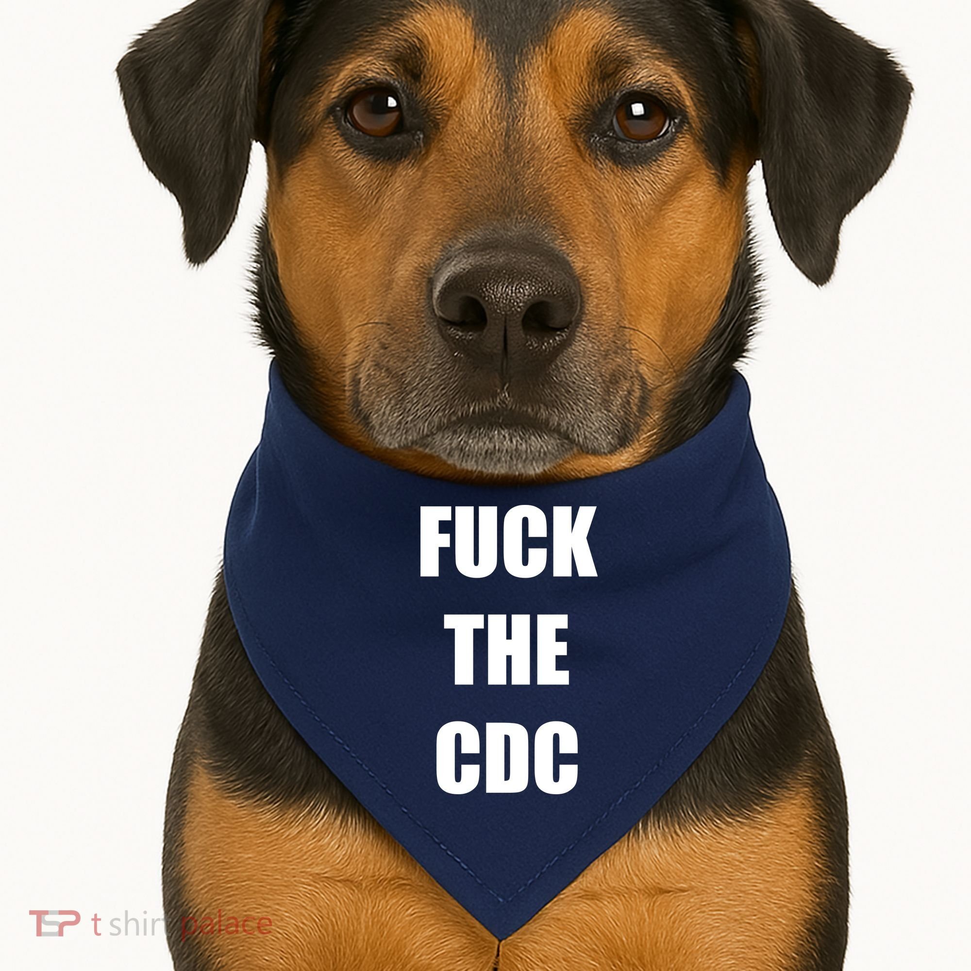 Anti CDC USA-Made Doggie Bandana
