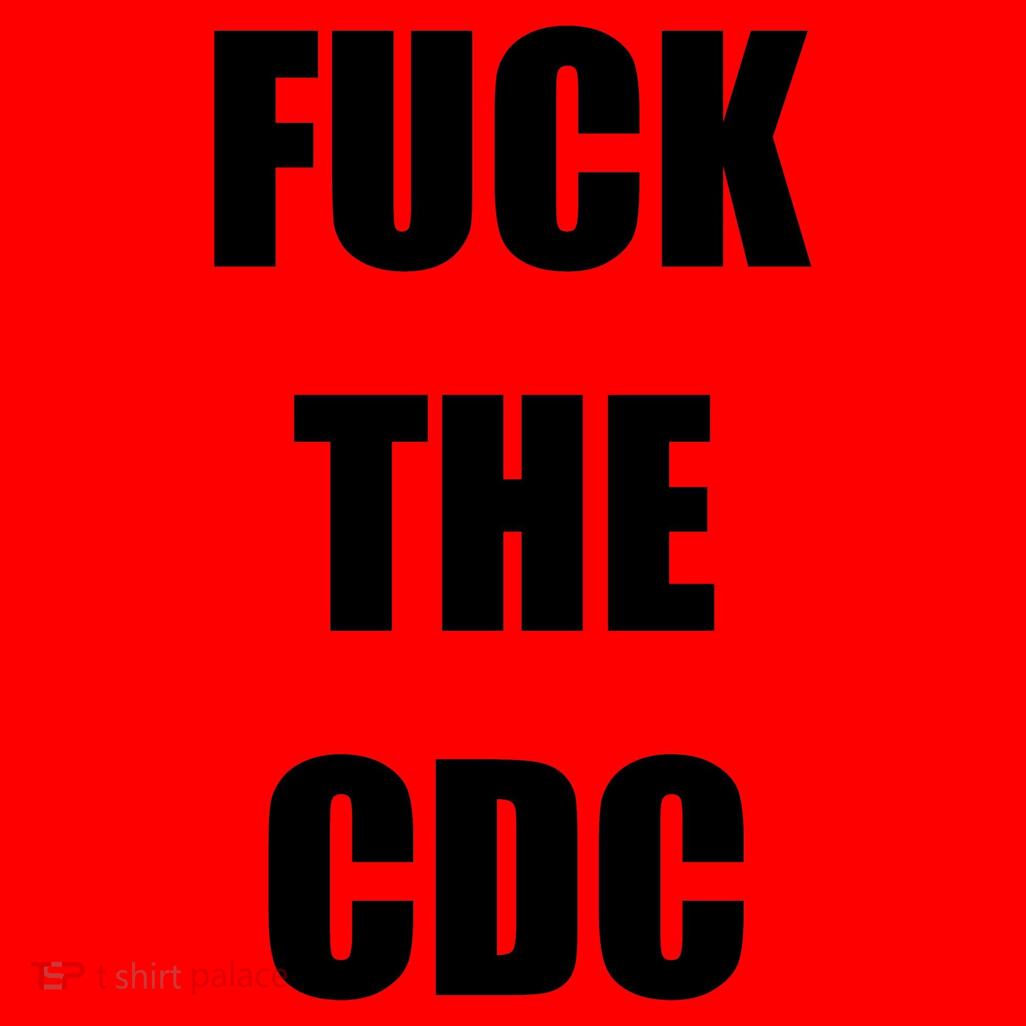 Anti CDC Santa Hat