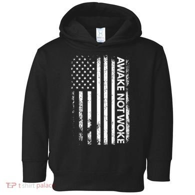 Awake Not Woke American Flag Free Speech Toddler Hoodie