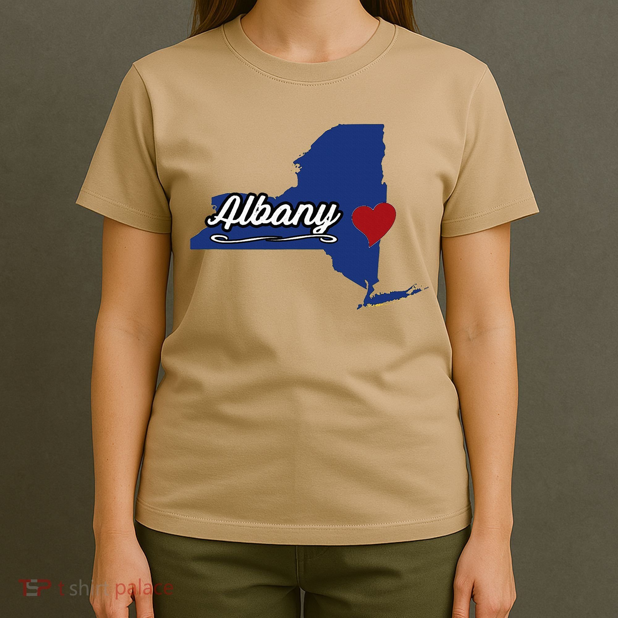 ALBANY New York NY State USA Cute Souvenir City T-Shirt