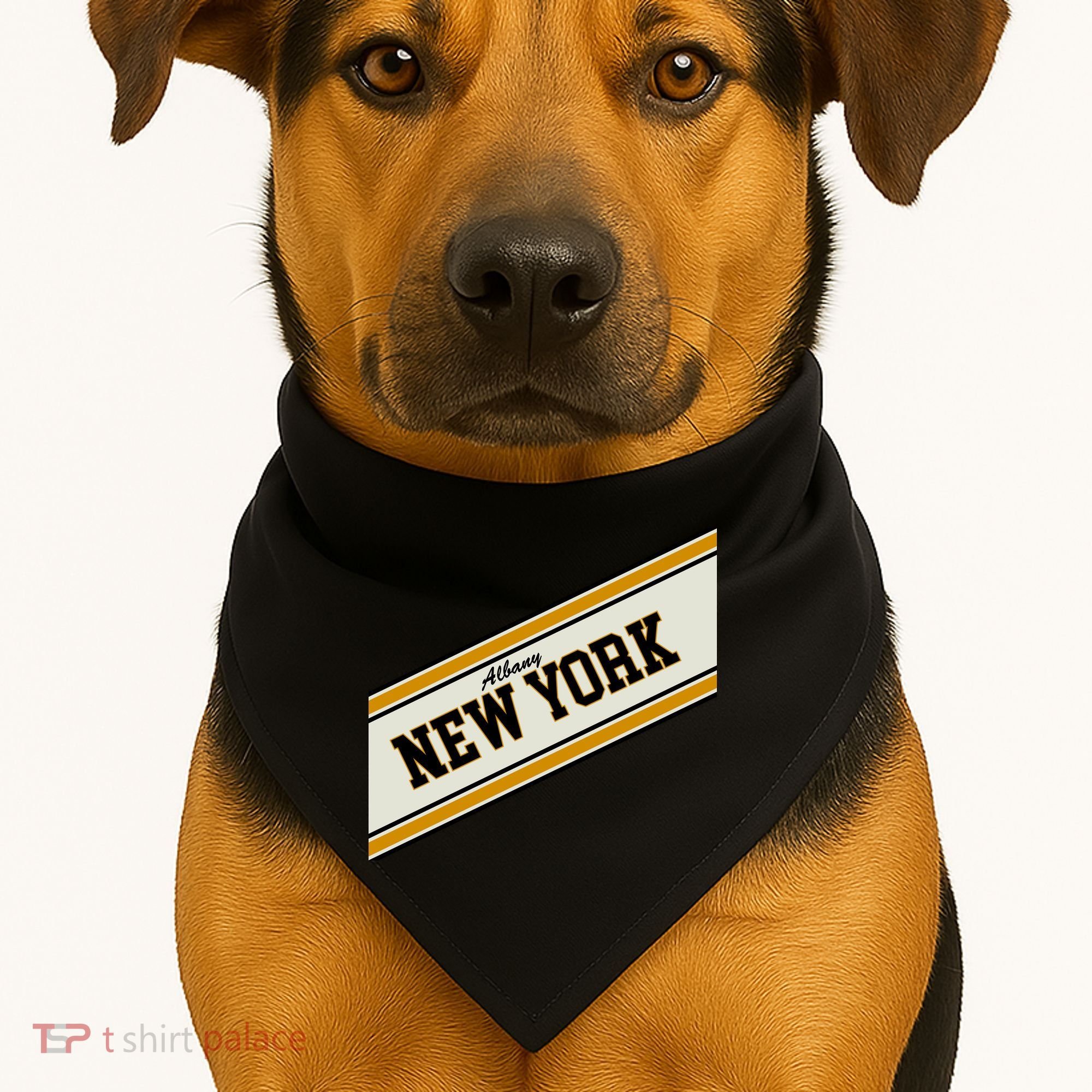 Albany New York Varsity Logo USA-Made Doggie Bandana