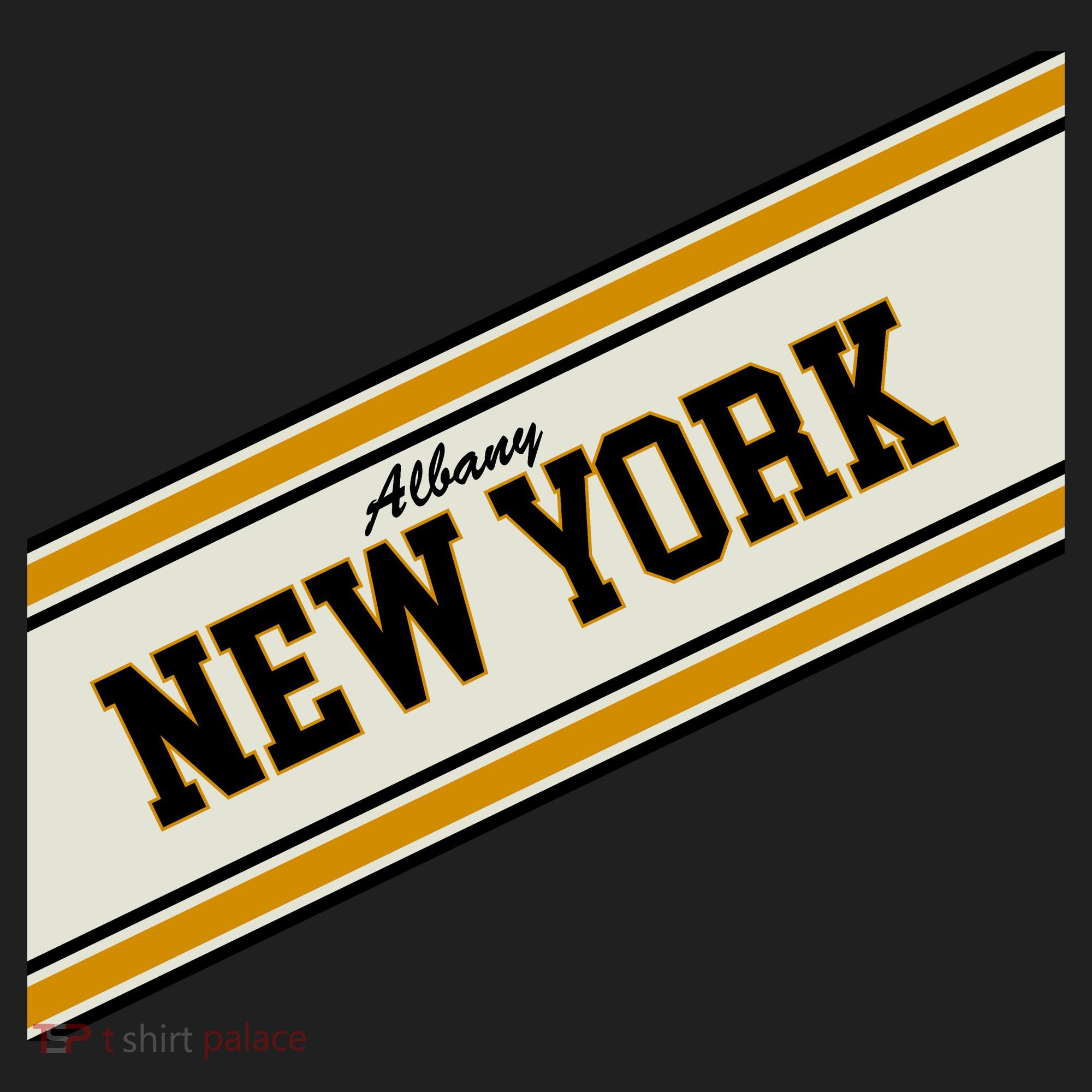 Albany New York Varsity Logo Hat