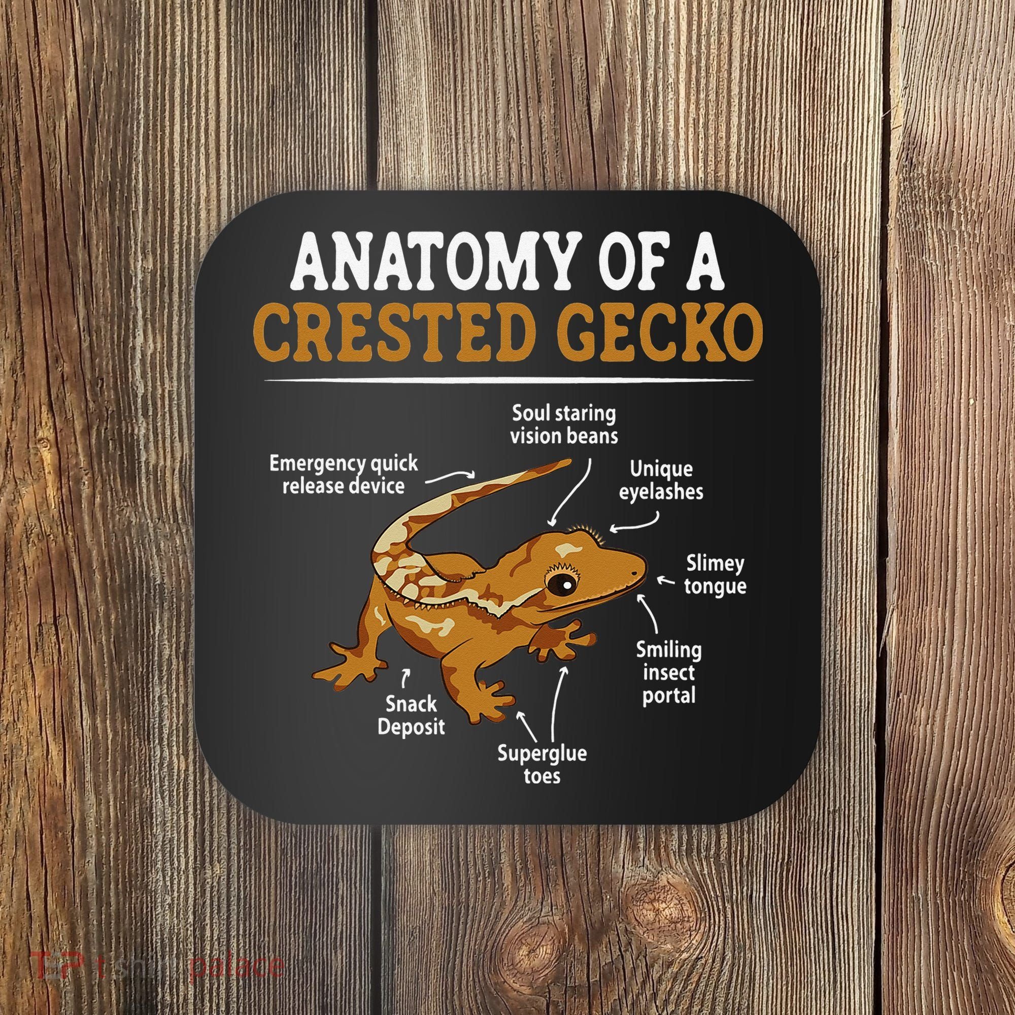 Anatomy Of A Crested Gecko Eyelash Lizard Herpetologist Coaster