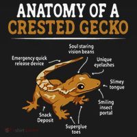 Anatomy Of A Crested Gecko Eyelash Lizard Herpetologist Women's Hoodie thumb 2