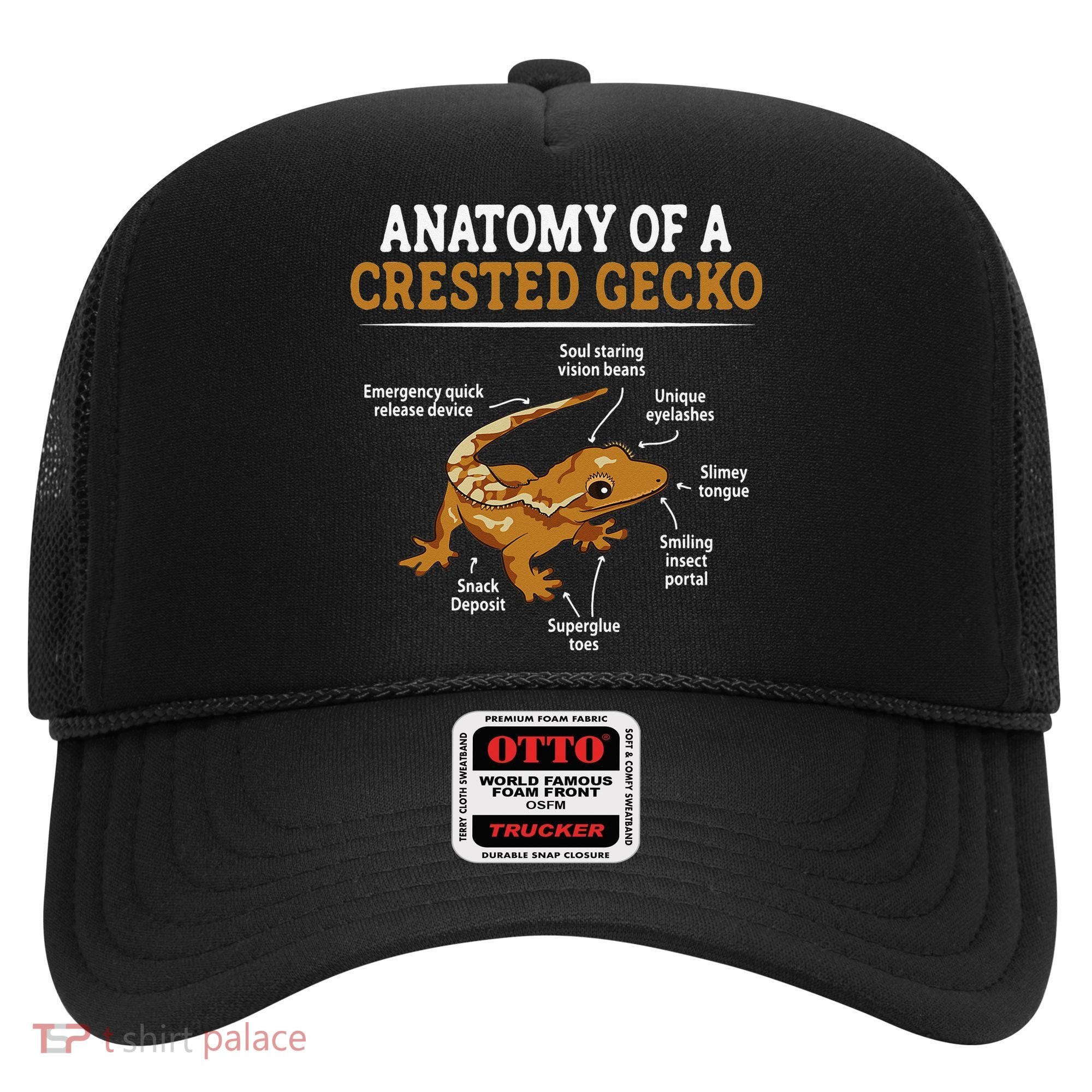 Anatomy Of A Crested Gecko Eyelash Lizard Herpetologist Hat