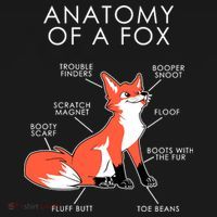 Anatomy Of A Fox Hoodie thumb 7