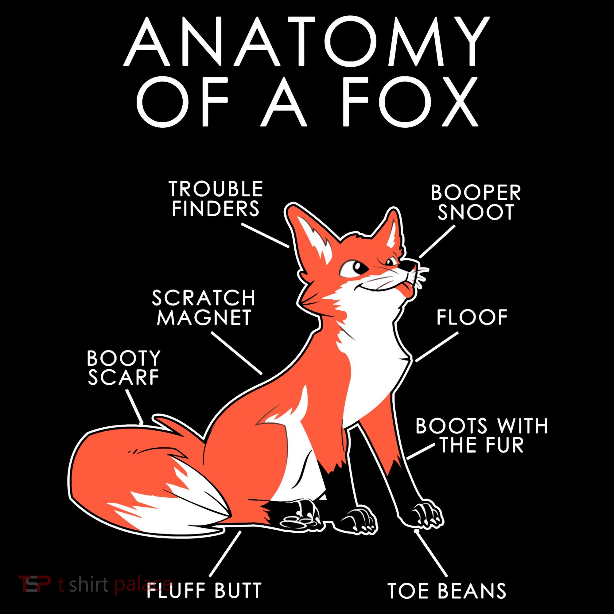 Anatomy Of A Fox Women's Hoodie