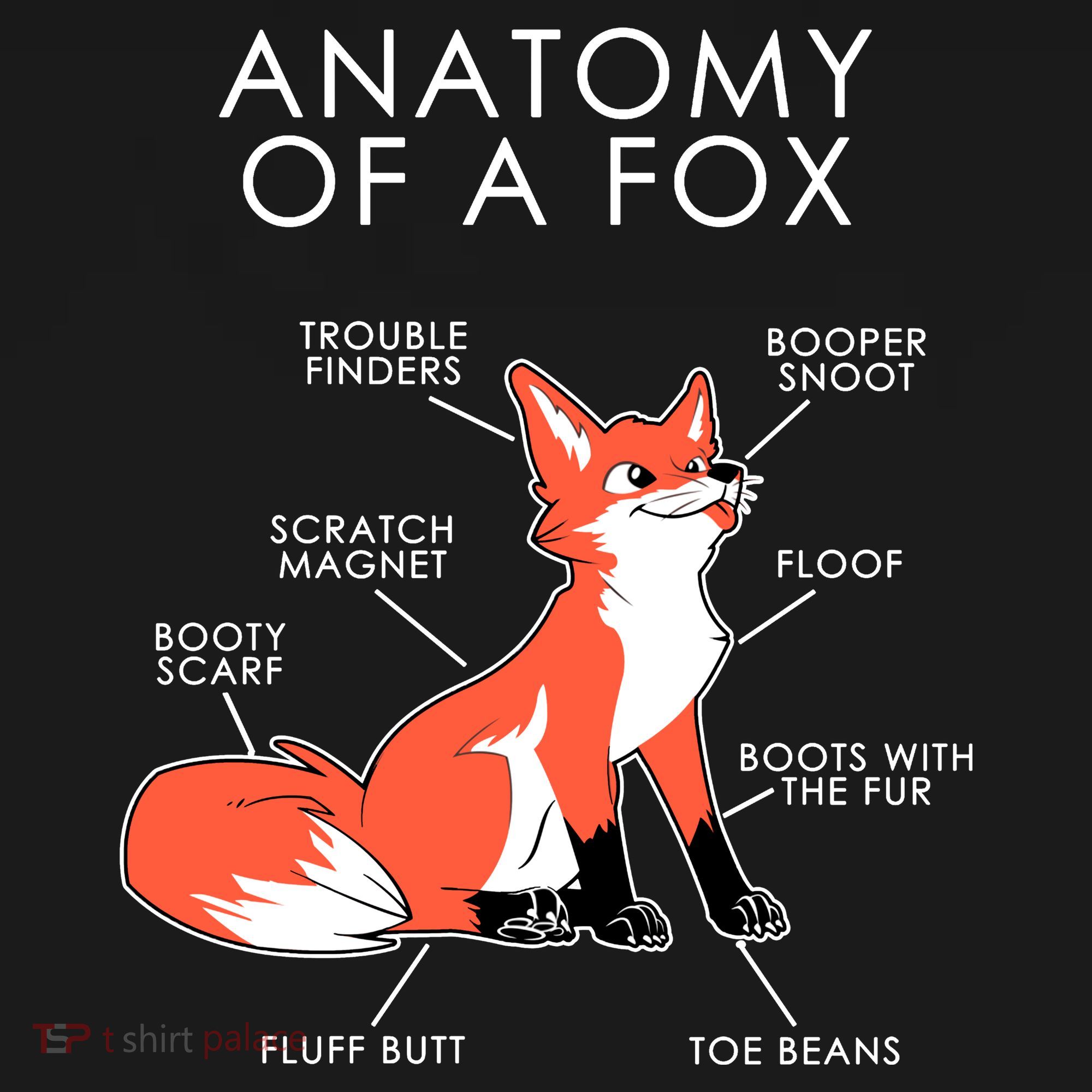 Anatomy Of A Fox Kids Sweatshirt