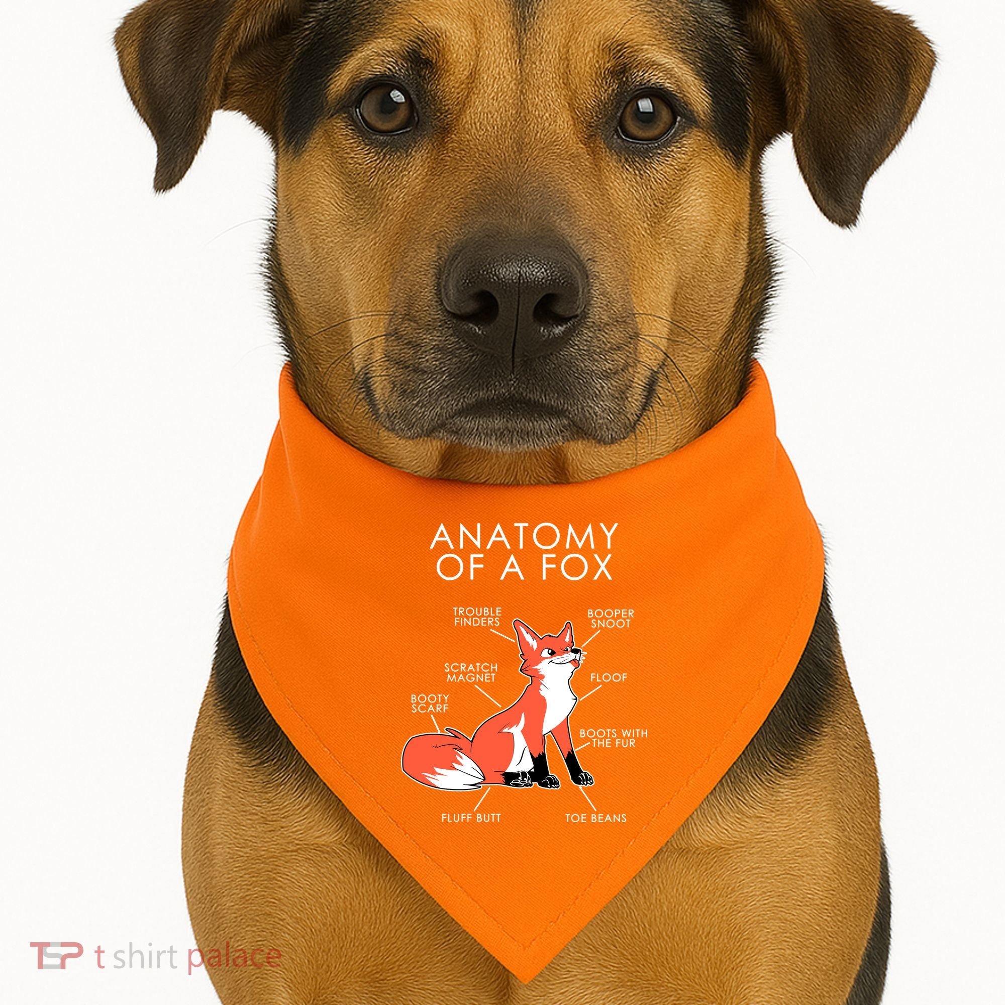 Anatomy Of A Fox USA-Made Doggie Bandana