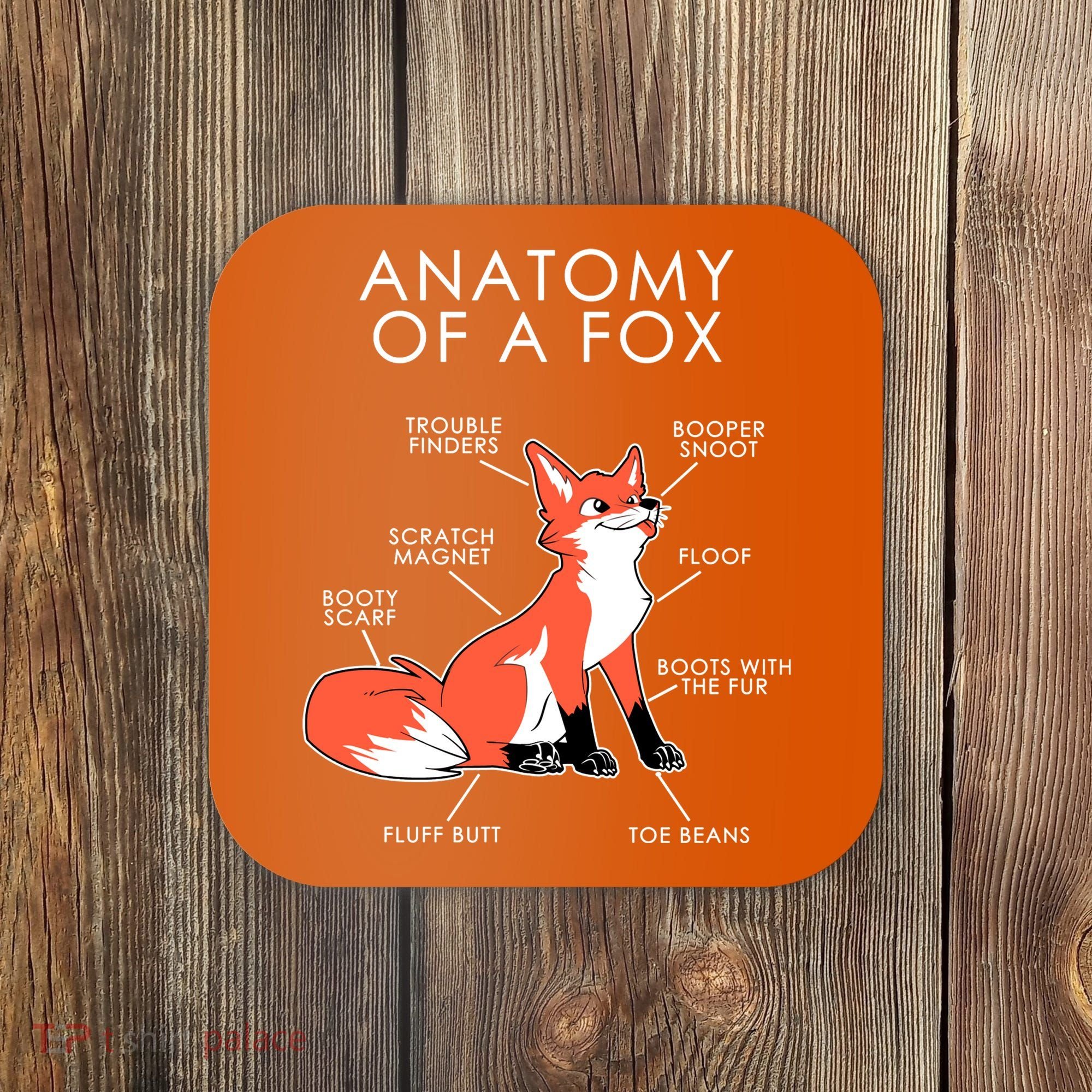 Anatomy Of A Fox Coaster