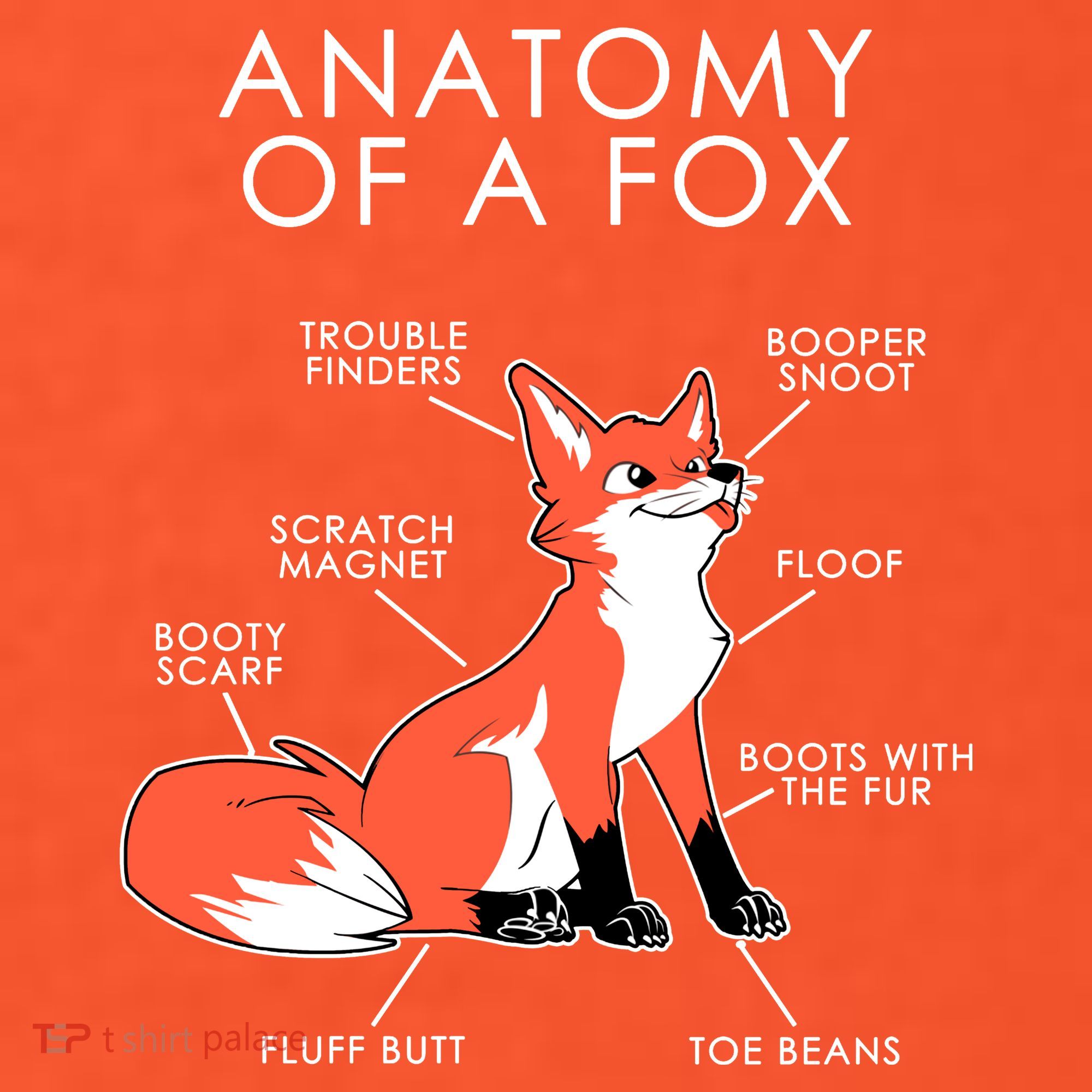 Anatomy Of A Fox Visor