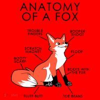 Anatomy Of A Fox Santa Hat thumb 1