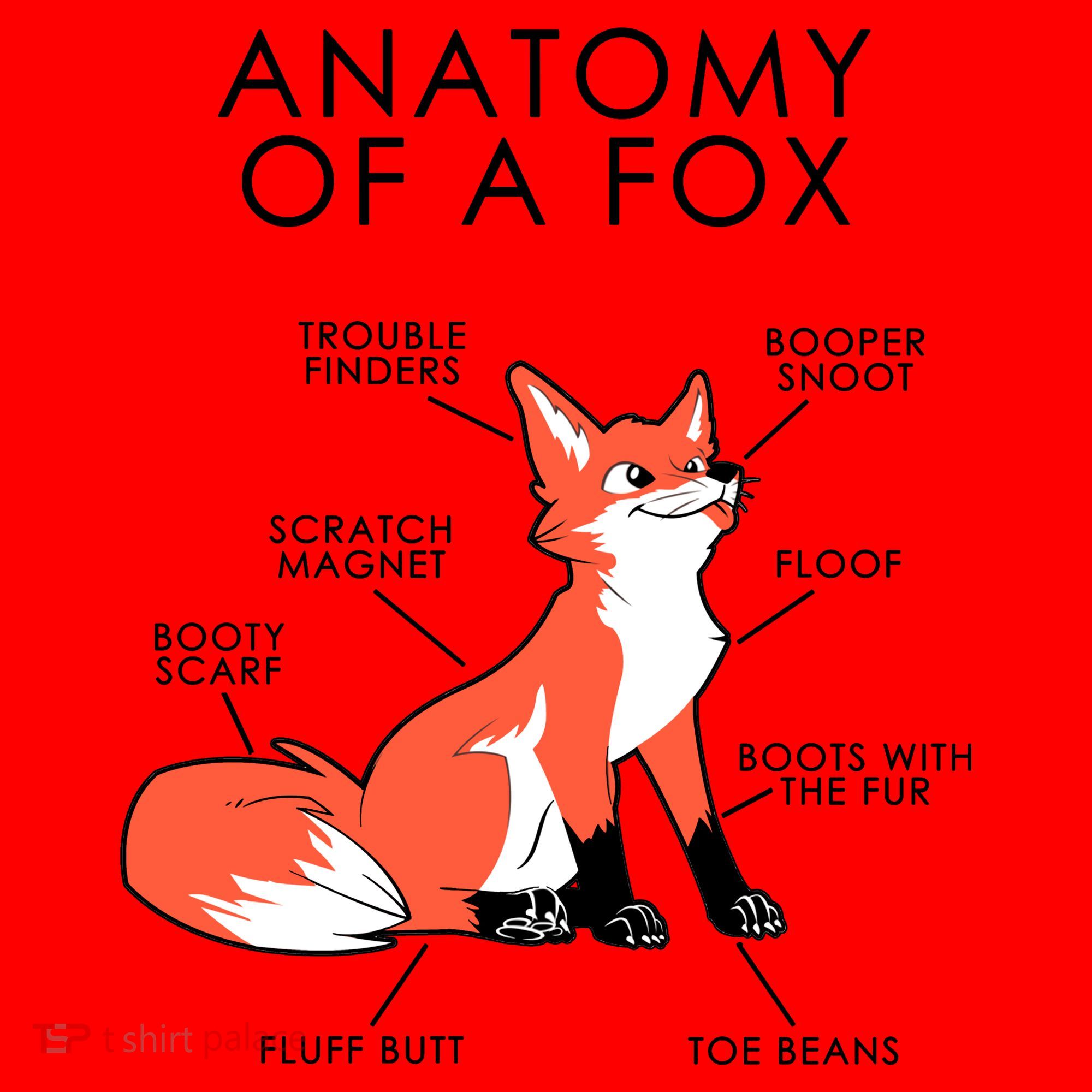Anatomy Of A Fox Santa Hat