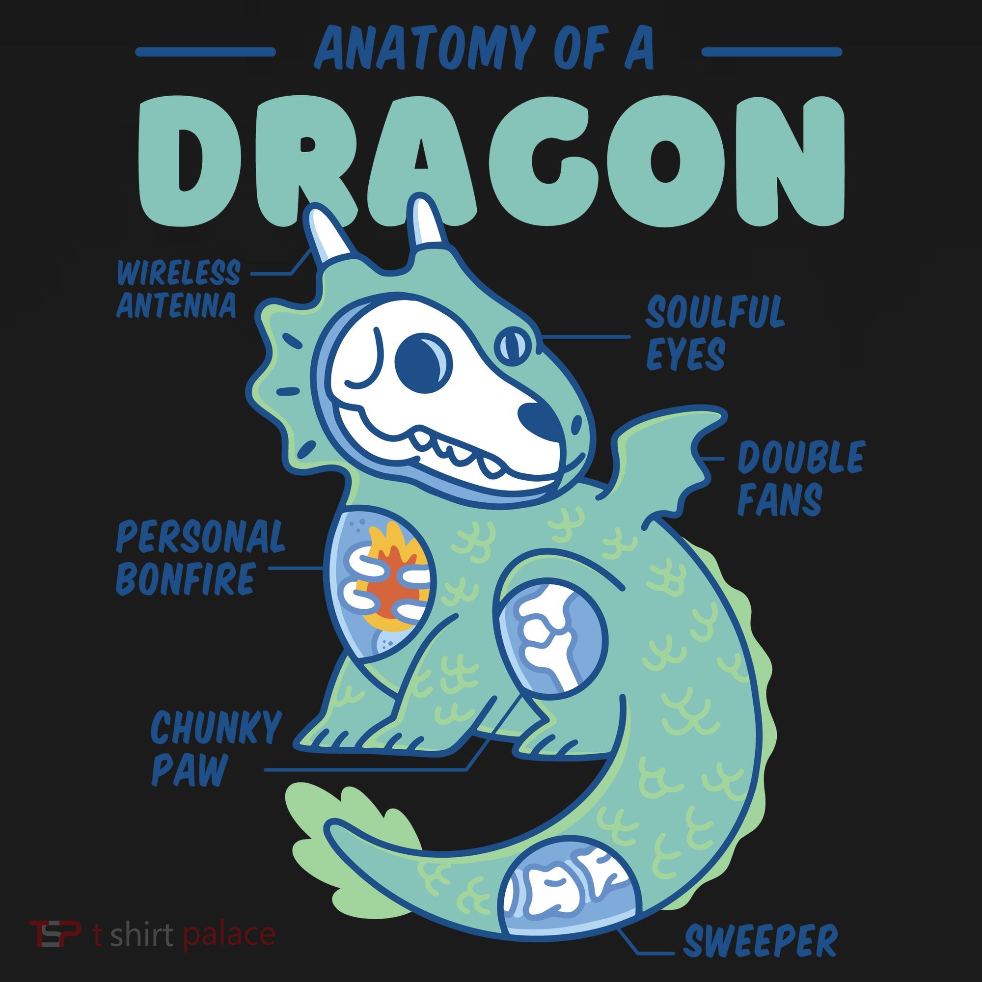 Anatomy Of A Dragon Coaster