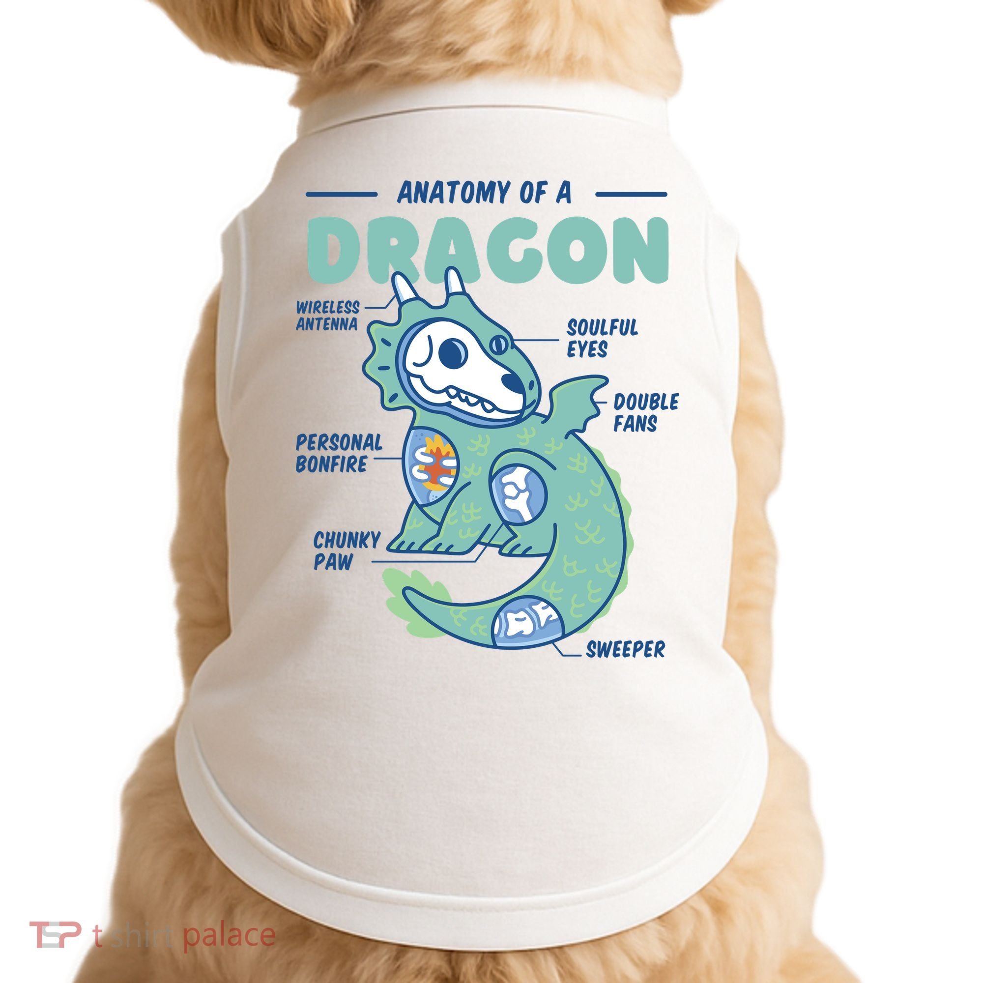 Anatomy Of A Dragon Doggie Tank
