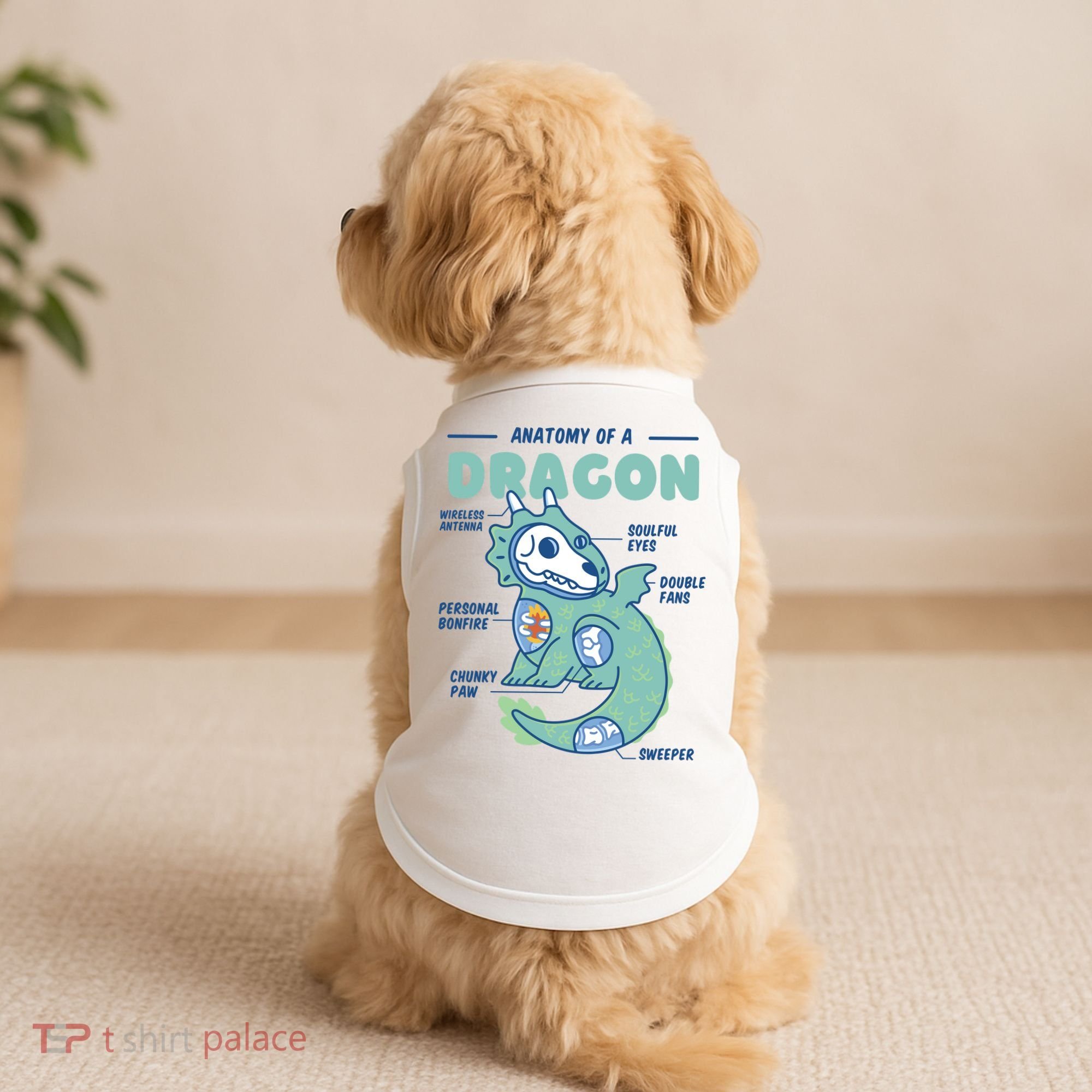 Anatomy Of A Dragon Doggie Tank
