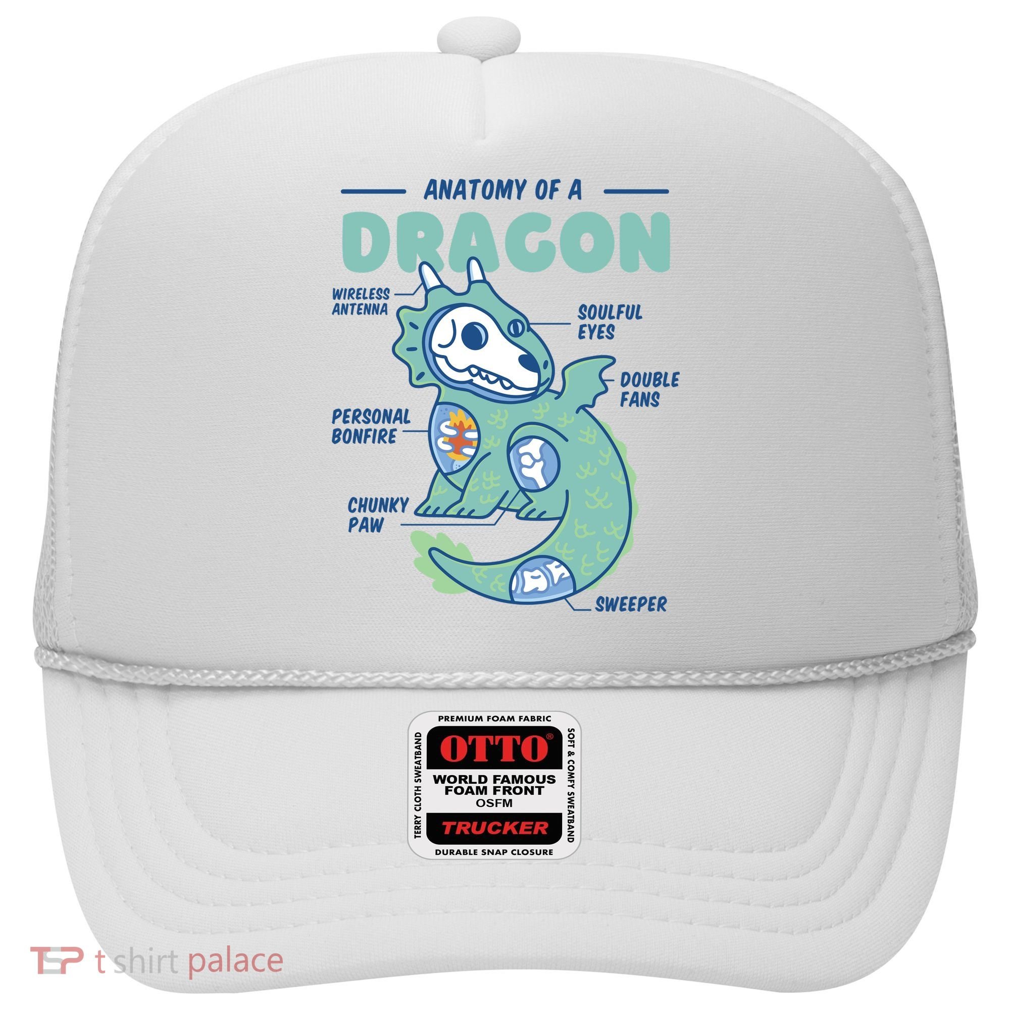 Anatomy Of A Dragon Hat