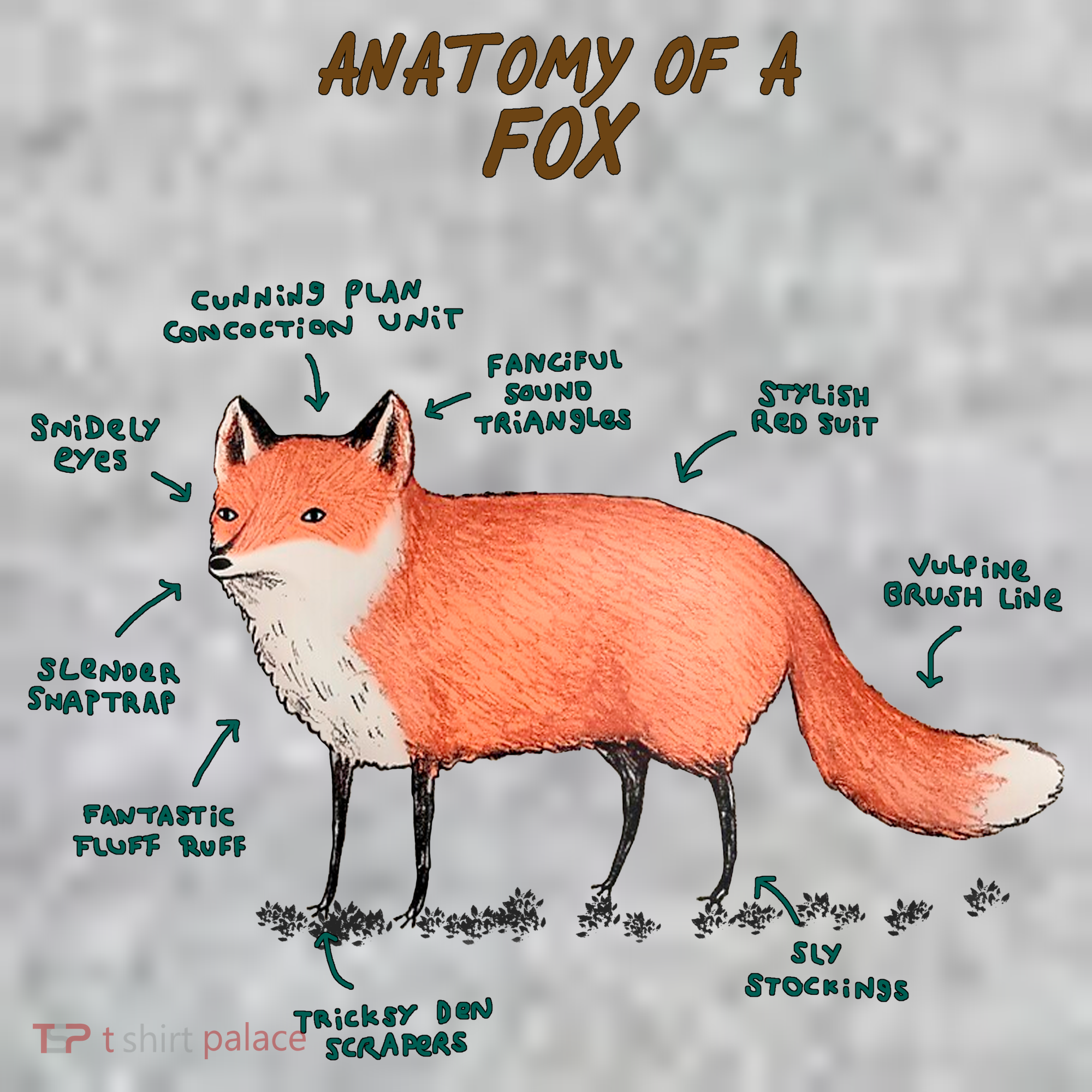 Anatomy Of A Fox Funny Cute T-Shirt