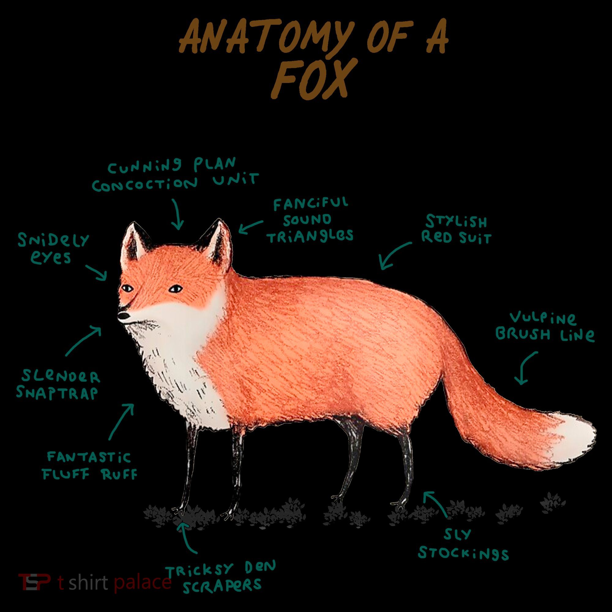 Anatomy Of A Fox Funny Cute Coffee Mug