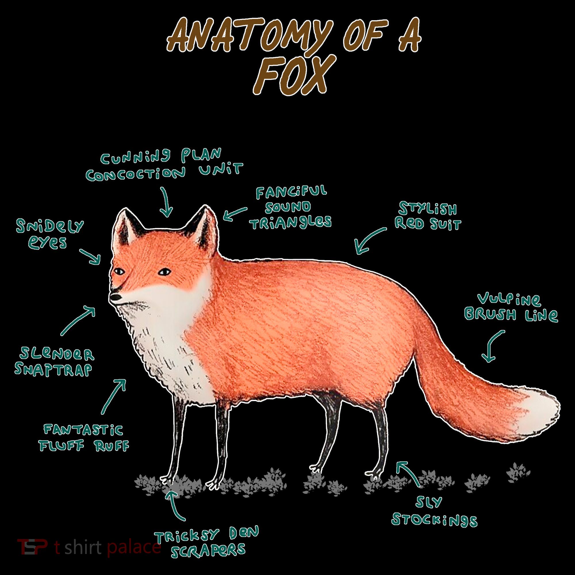 Anatomy Of A Fox Funny Cute Women's Hoodie
