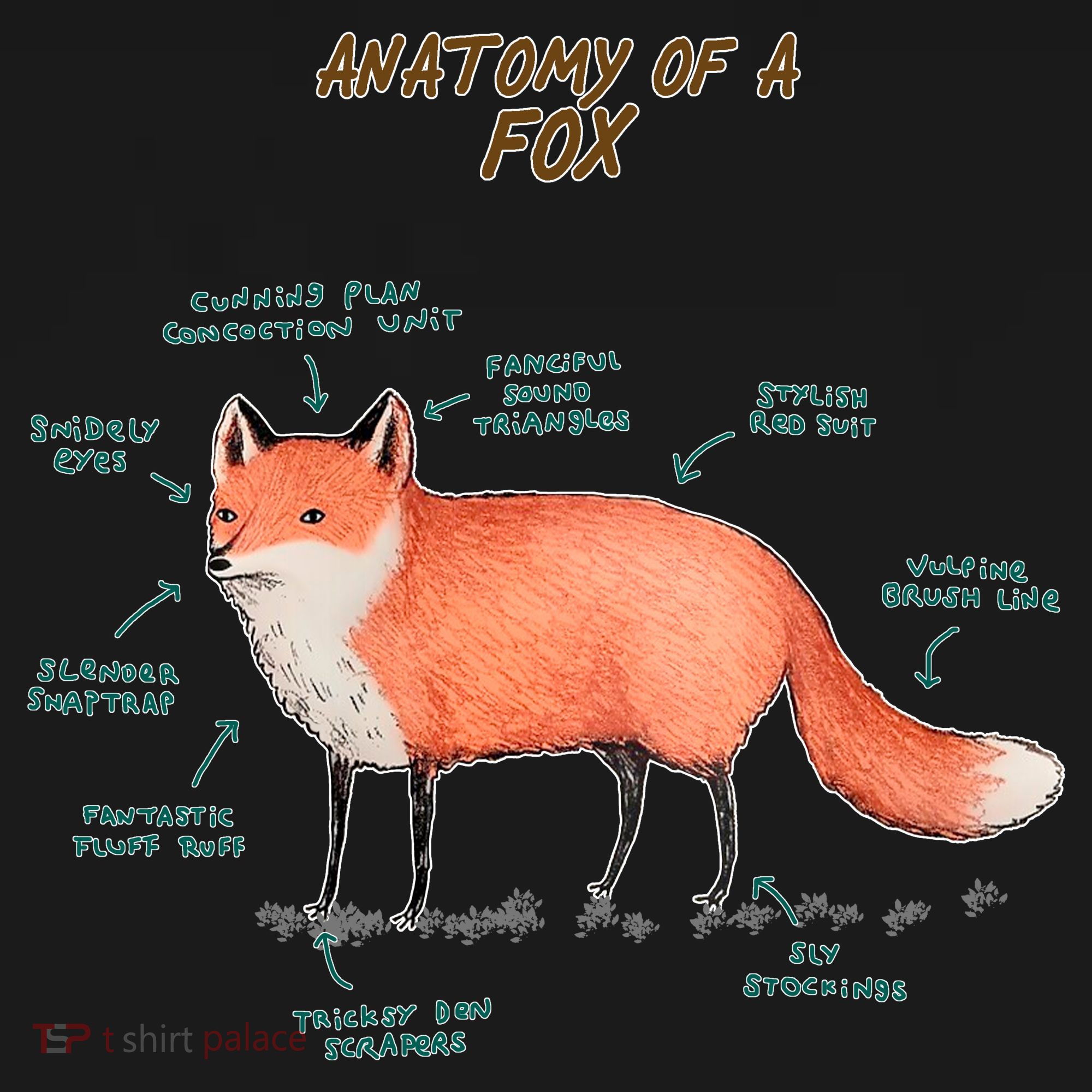 Anatomy Of A Fox Funny Cute Women's Tank Top