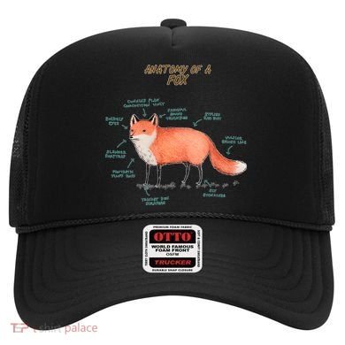 Anatomy Of A Fox Funny Cute Hat