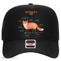 Anatomy Of A Fox Funny Cute Hat thumb 0
